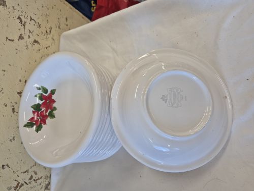  12 piatti fondi stella di Natale pagnossin