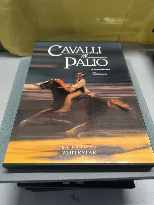  Cavalli in palio edizion