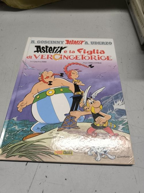 Asterix è la figlia di 