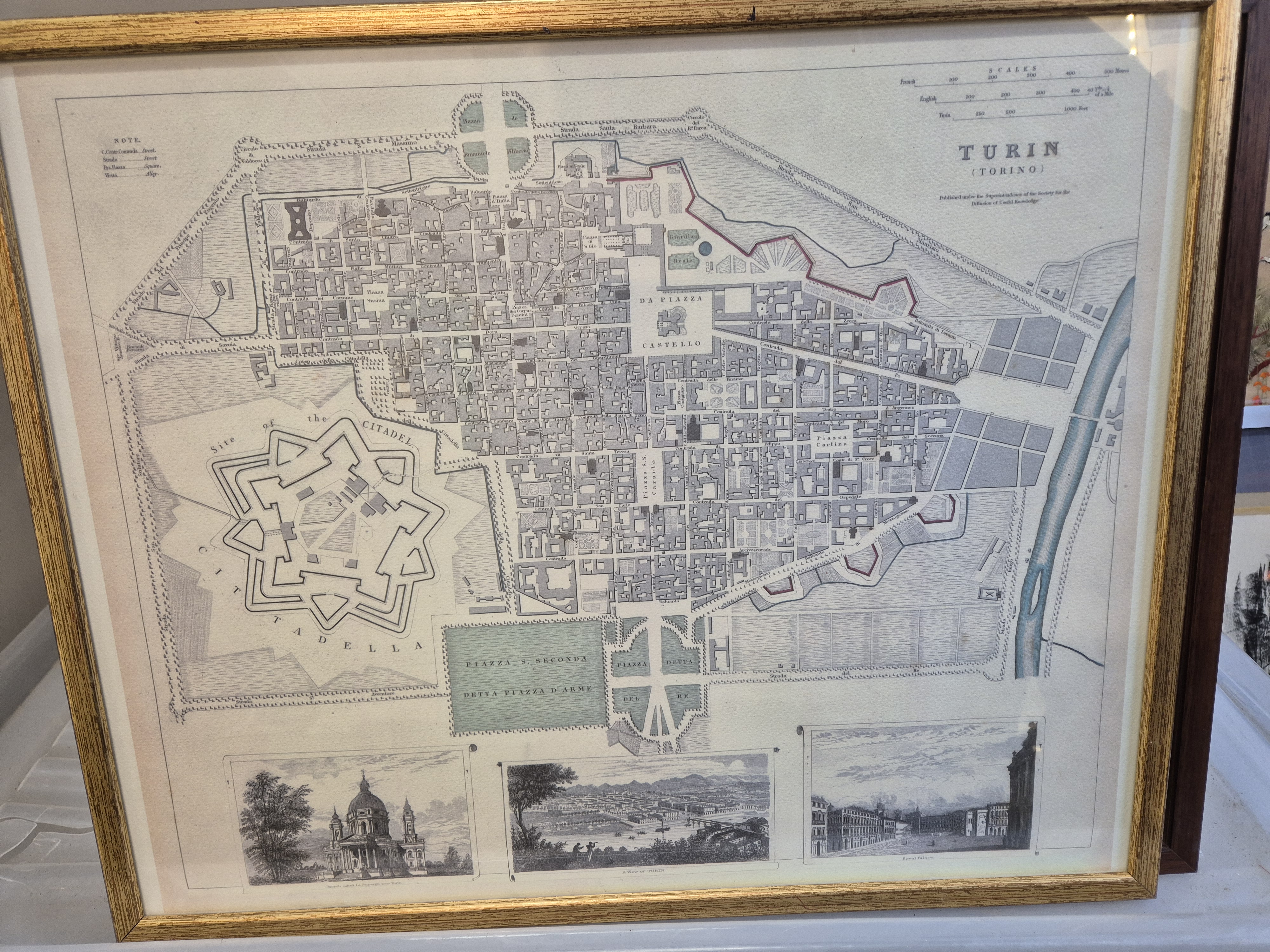 quadro VECCHIA PIANTINA DI TORINO