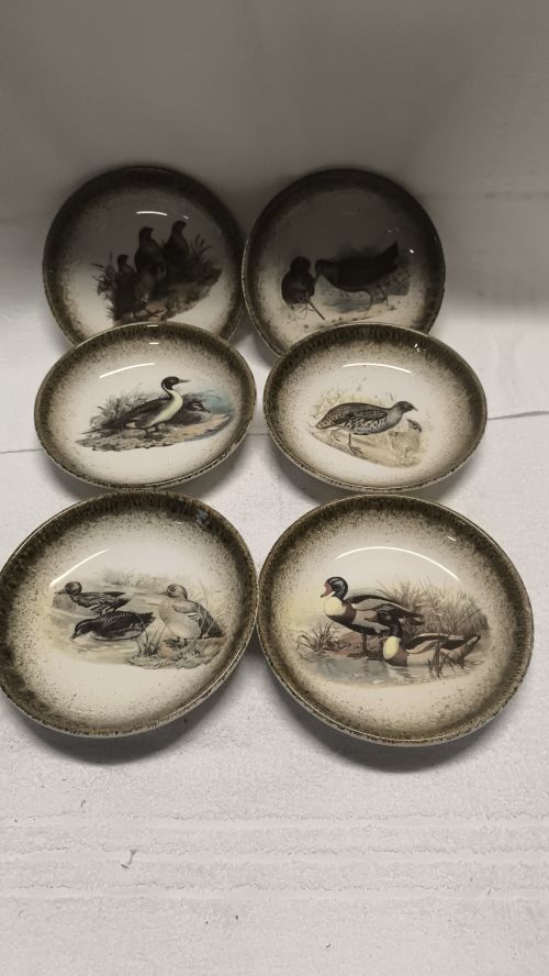  Fondi con disegno anatre