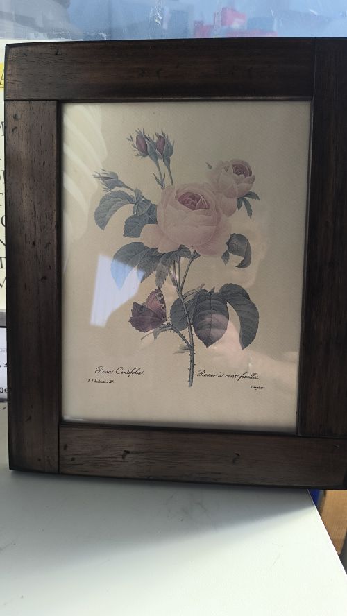 Stampa fiori su cornice Marrone dimensioni e larghezza 34 altezza 42
