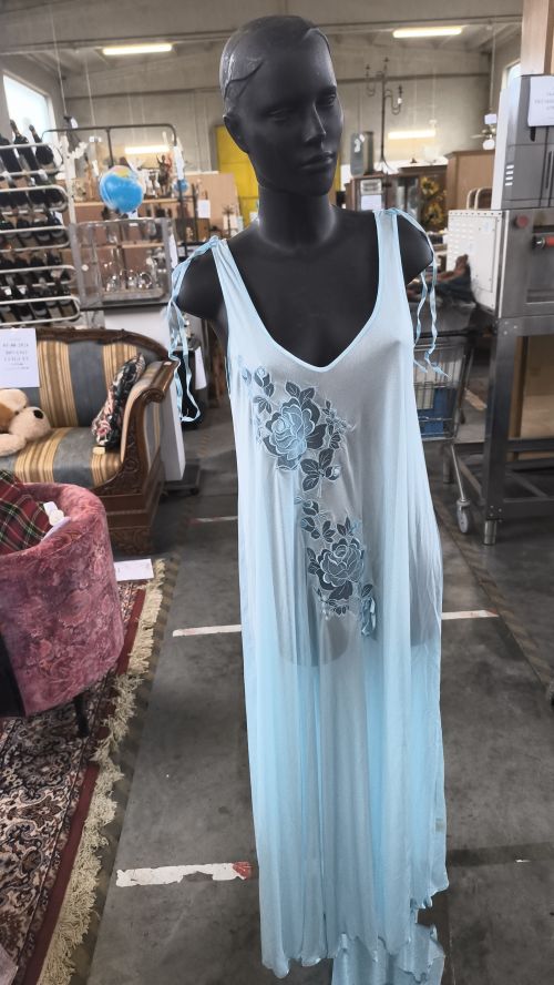 Francone camicie da notte Azzurra con decorazioni rose