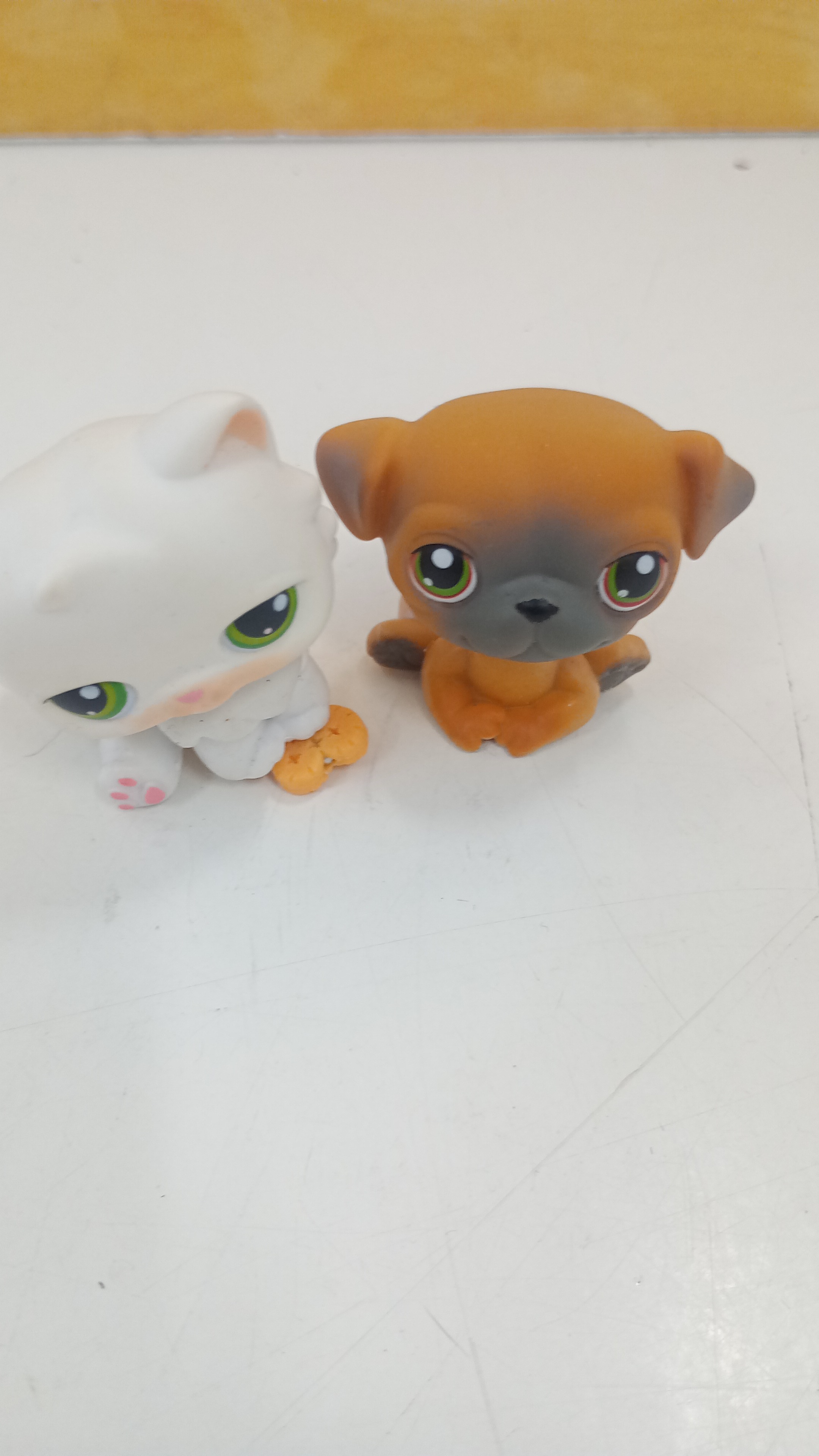 SET DUE CUCCIOLI