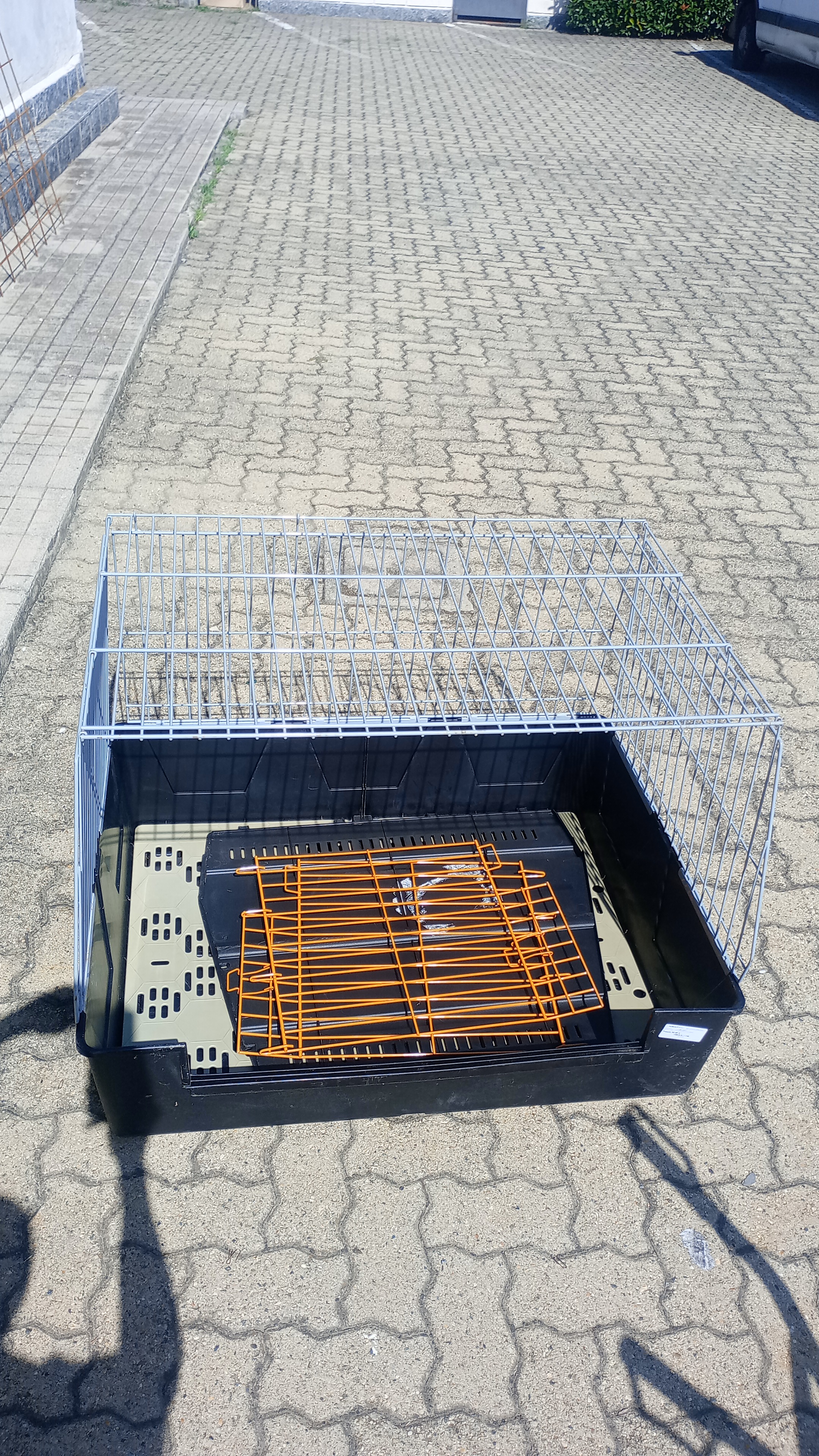 BOX PER TRASPORTO CANE