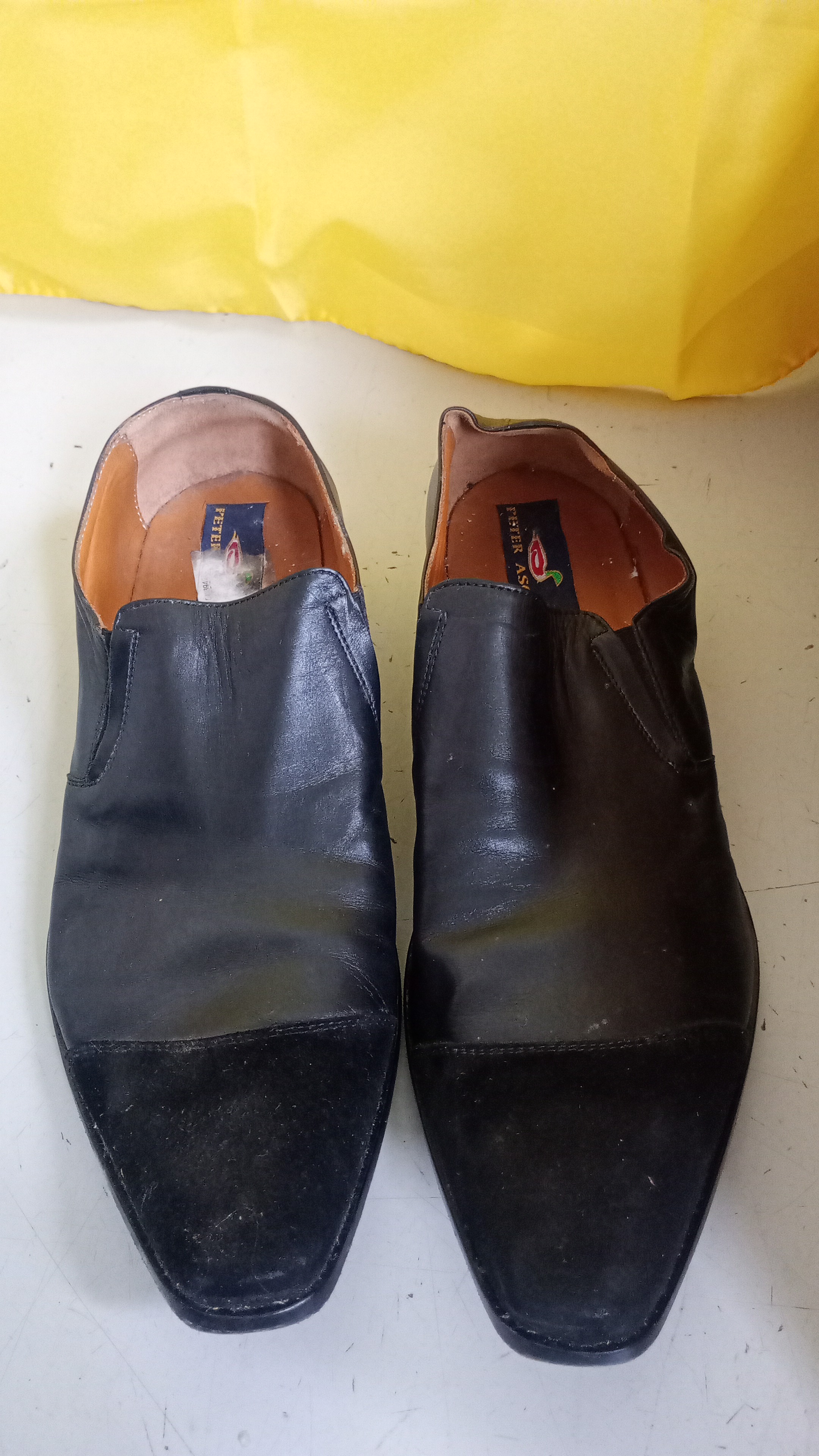 sc. nere PETER ASCOT N.42