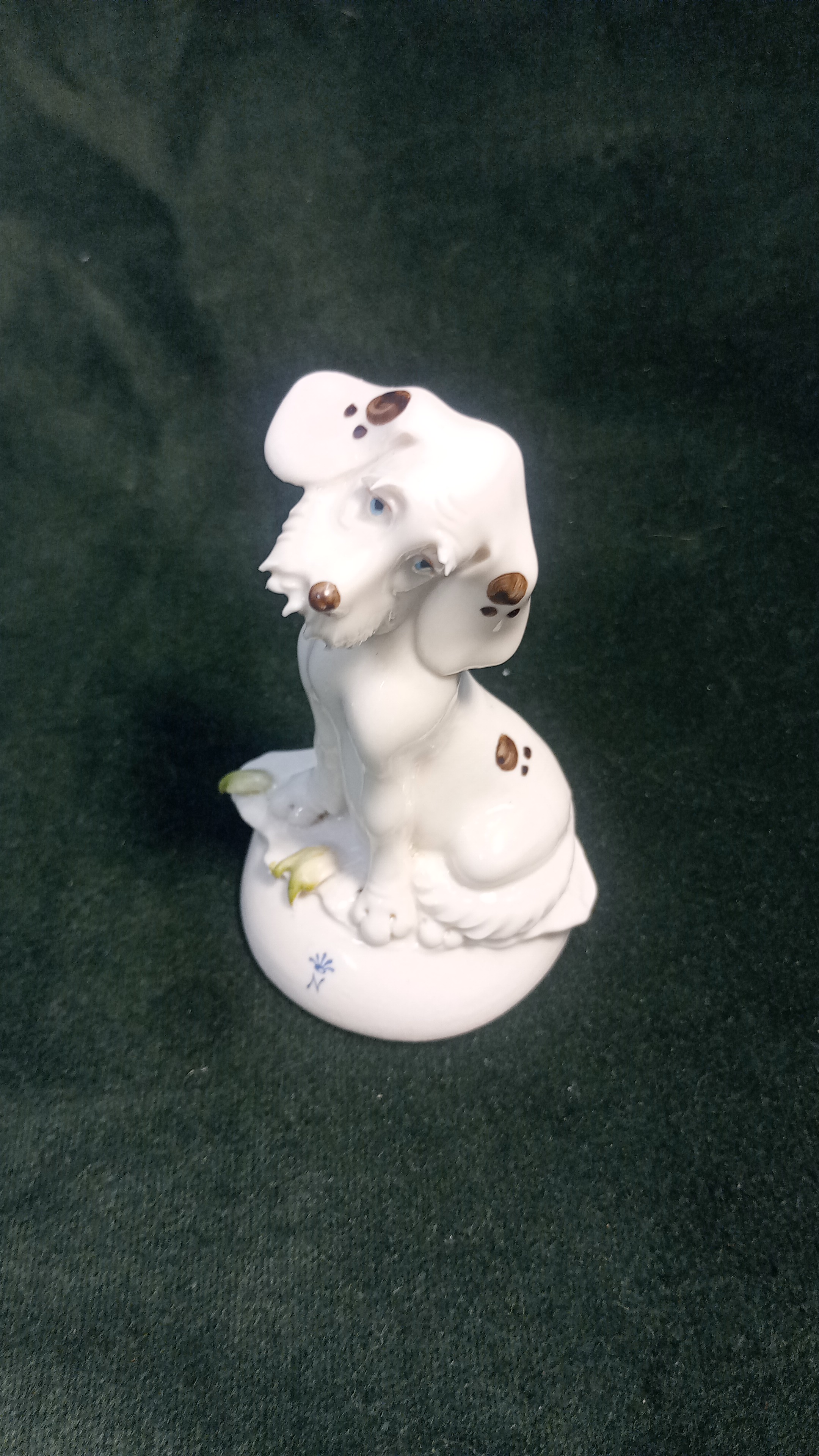  Cane Capodimonte Pezzoto