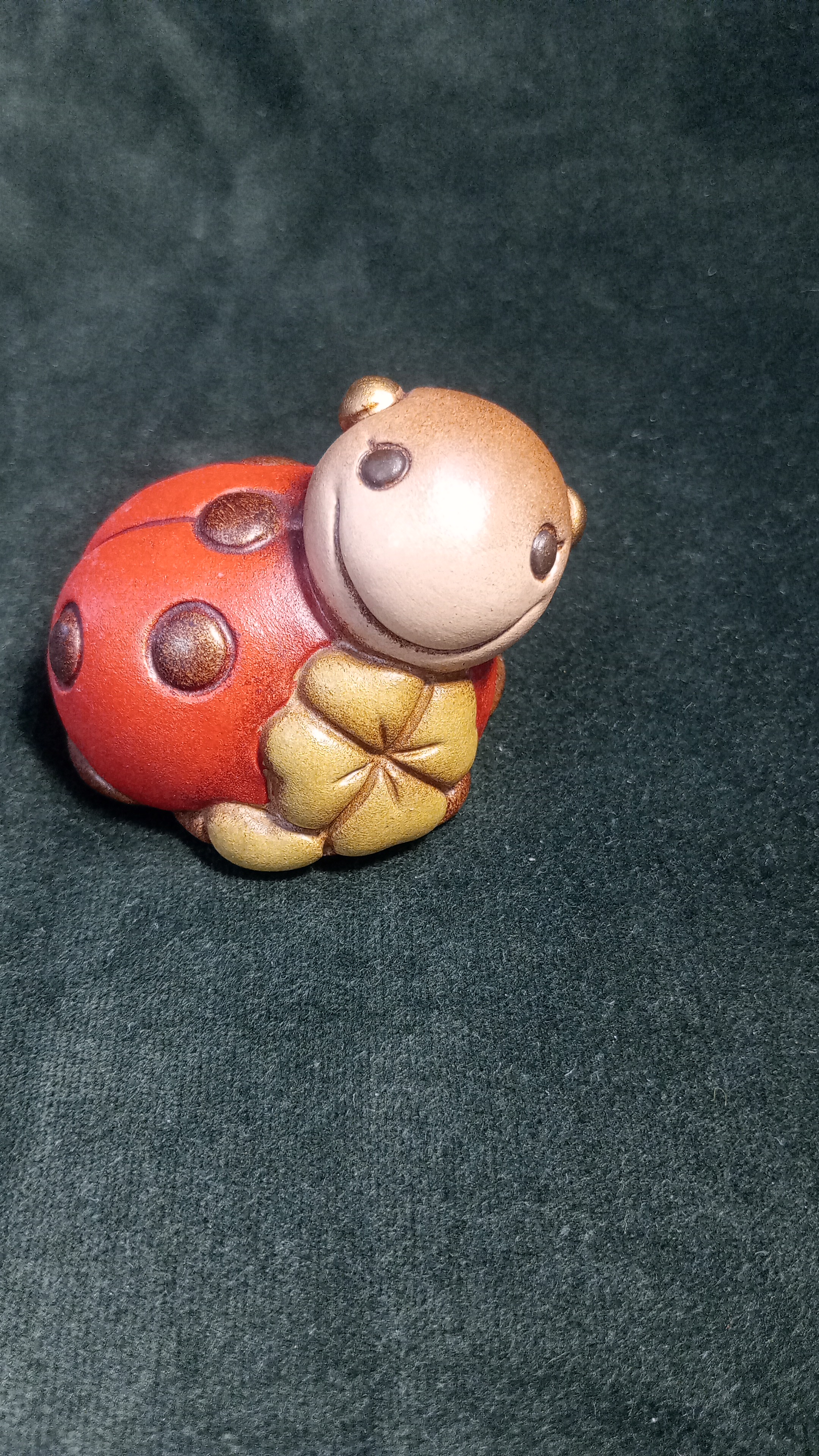  Coccinella Thun