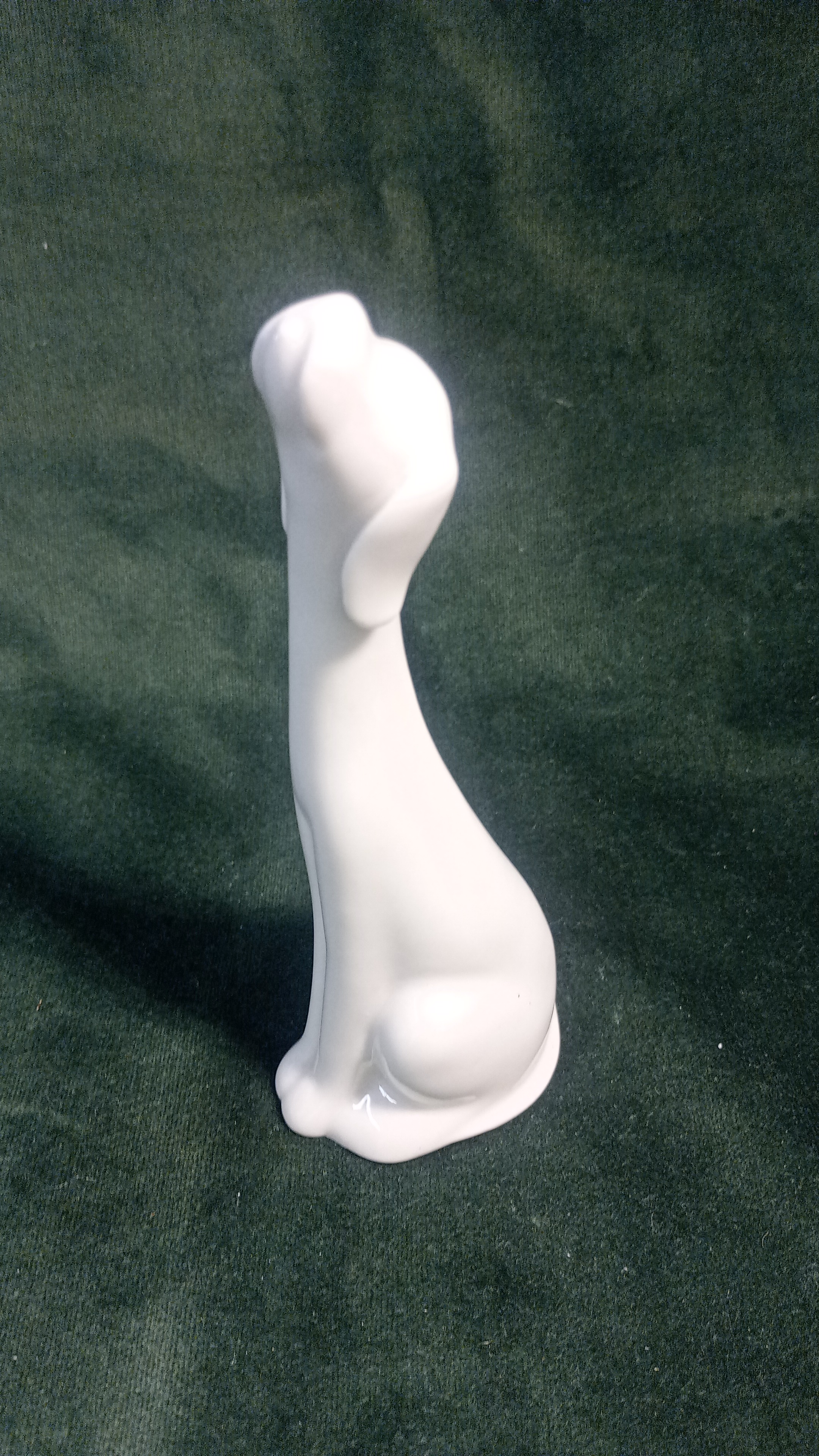  Cane Capodimonte 