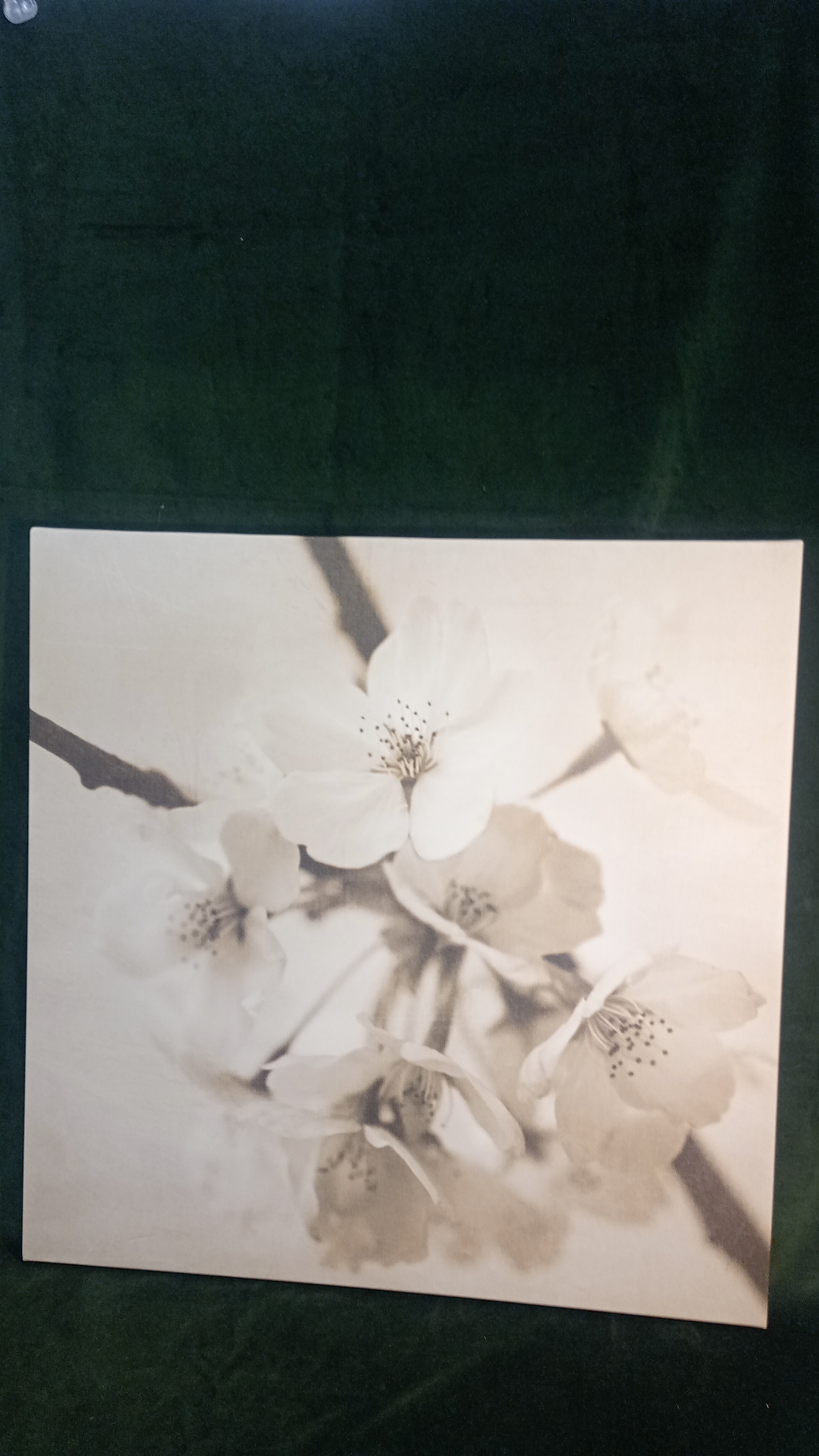STAMPA SU TELA IMMAGINE FIORE