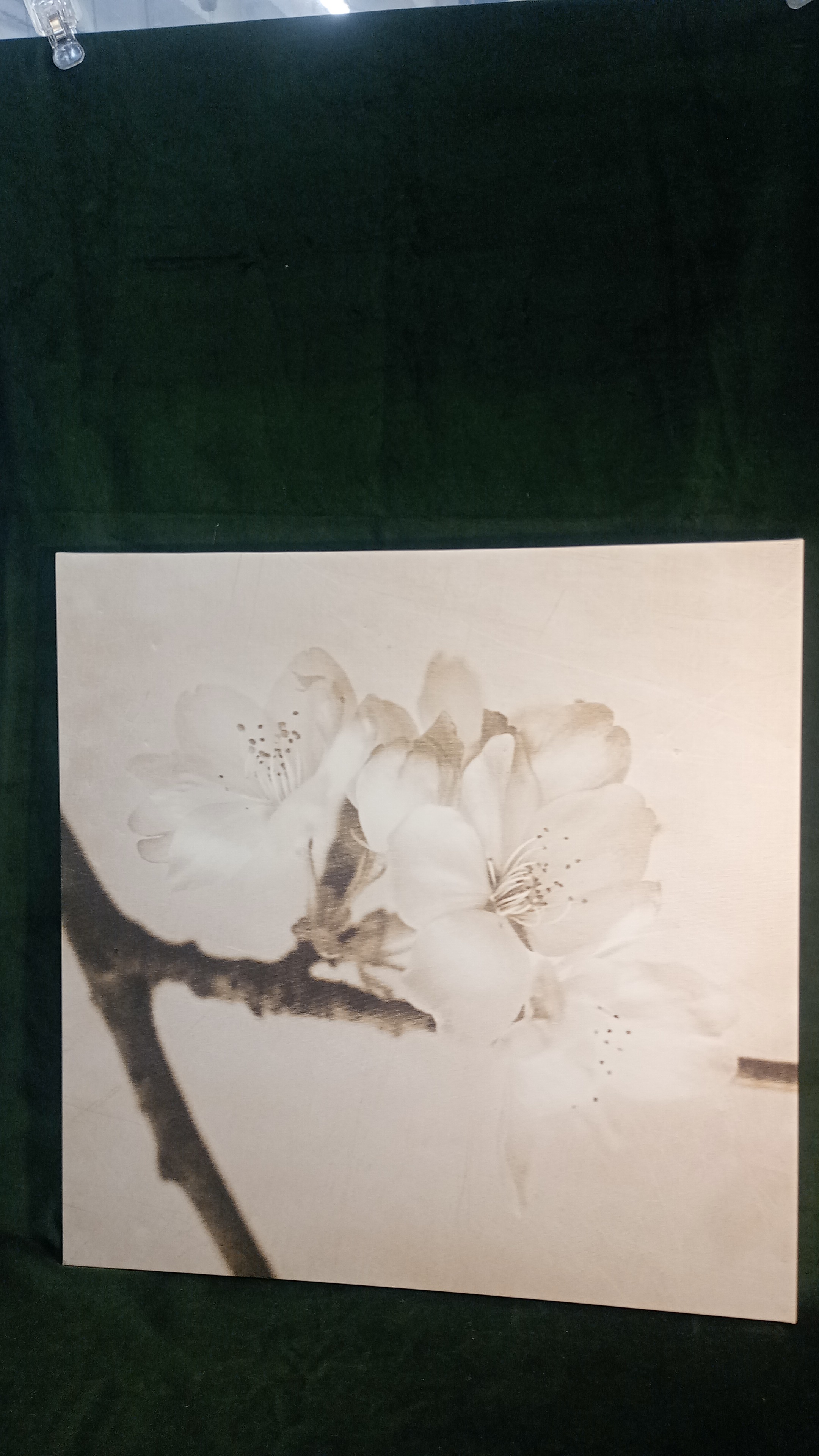 STAMPA SU TELA IMMAGINE FIORE