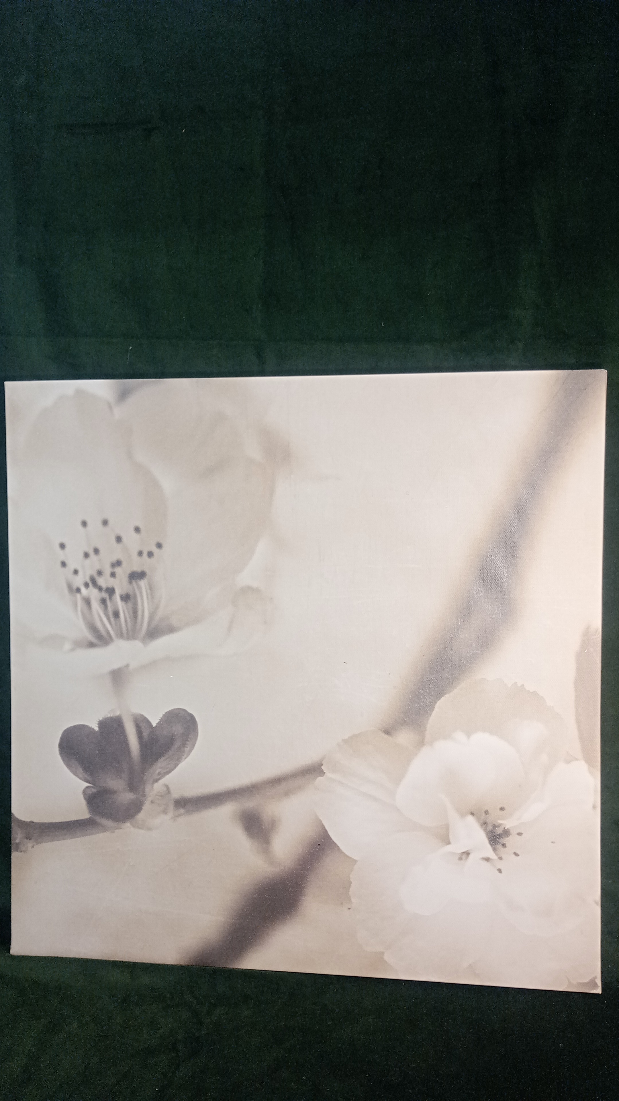 STAMPA SU TELA IMMAGINE FIORE