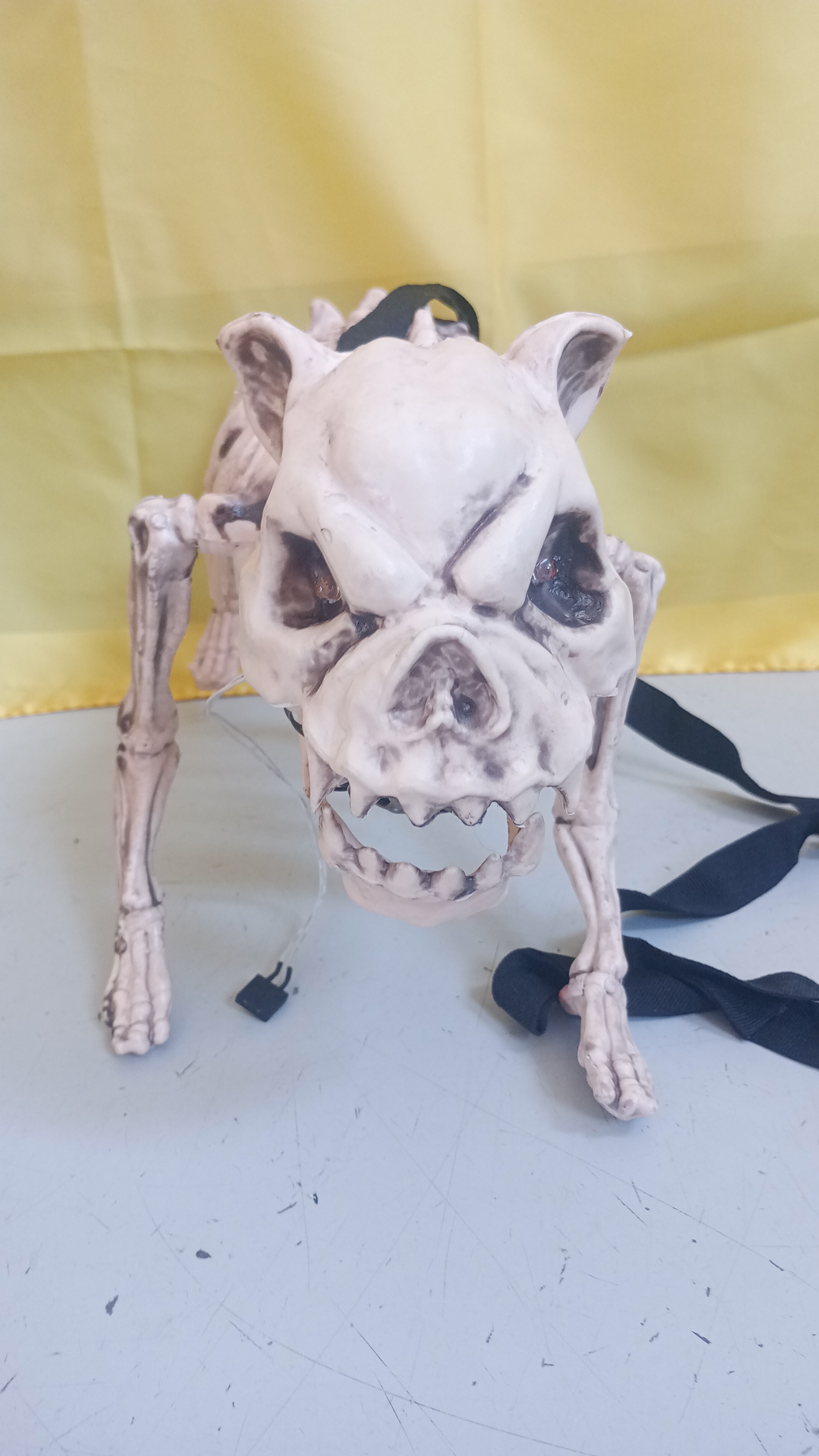  Cane halloween 
