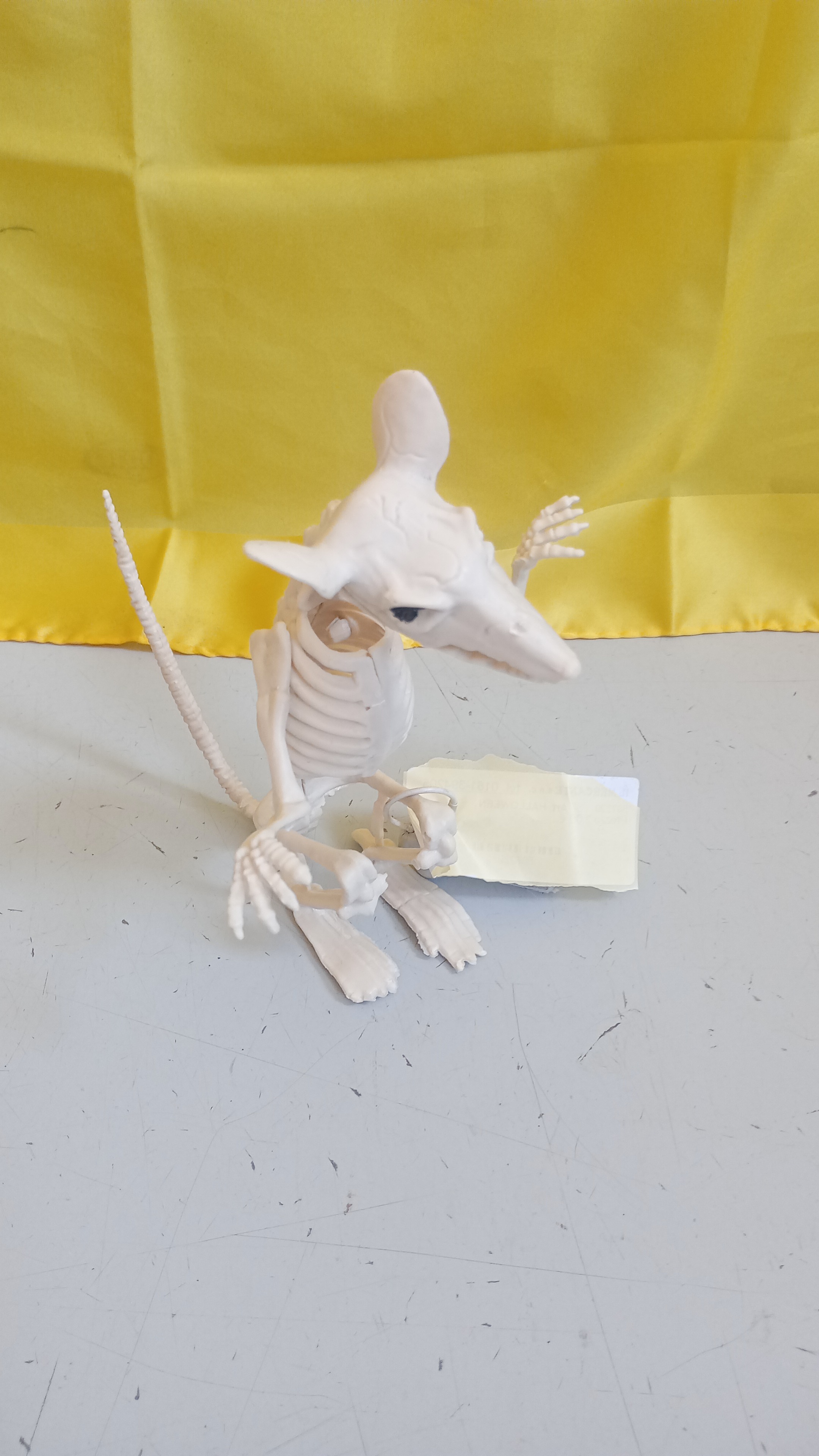  Art. HALLOWEEN 