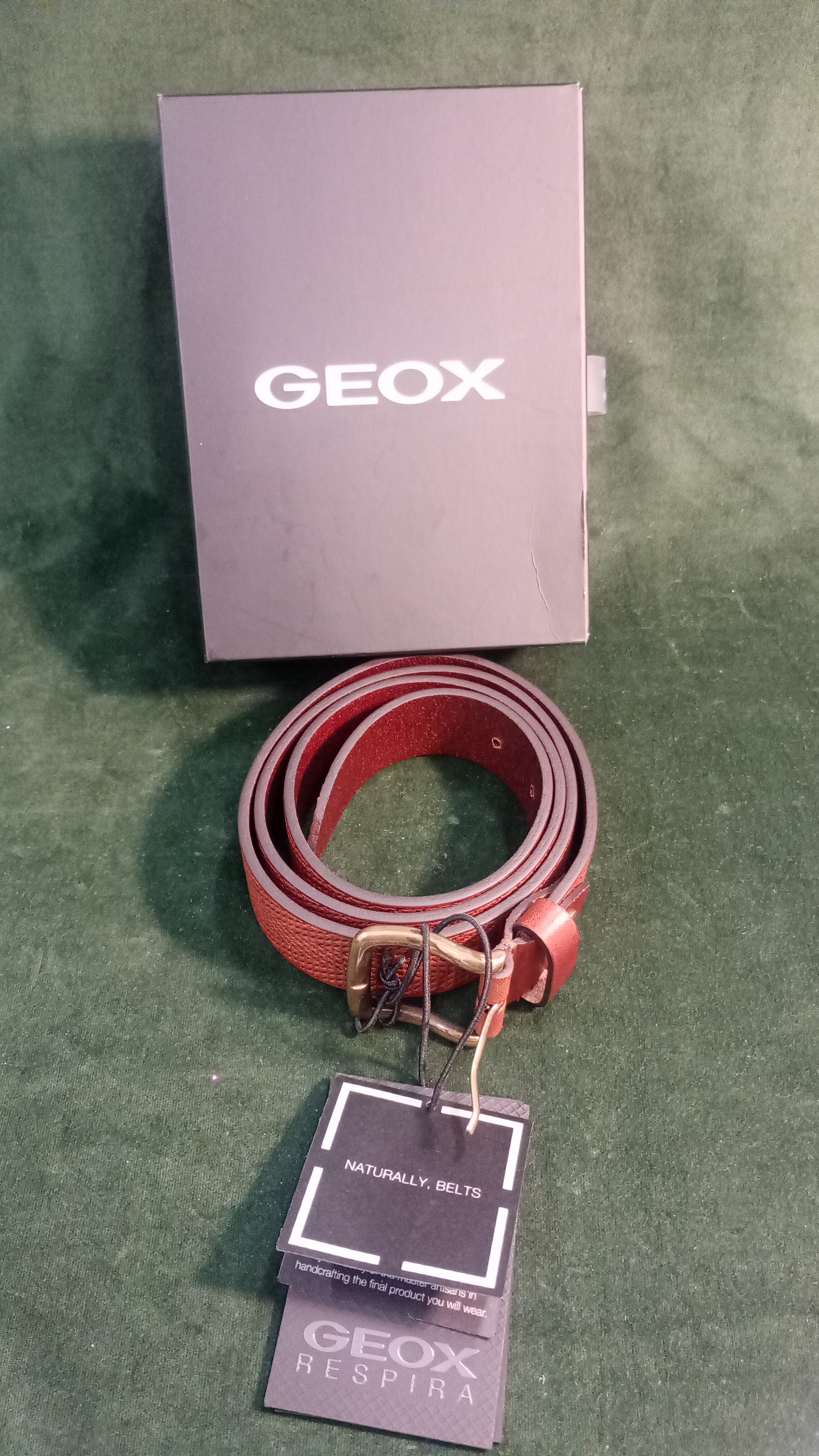 cintura GEOX