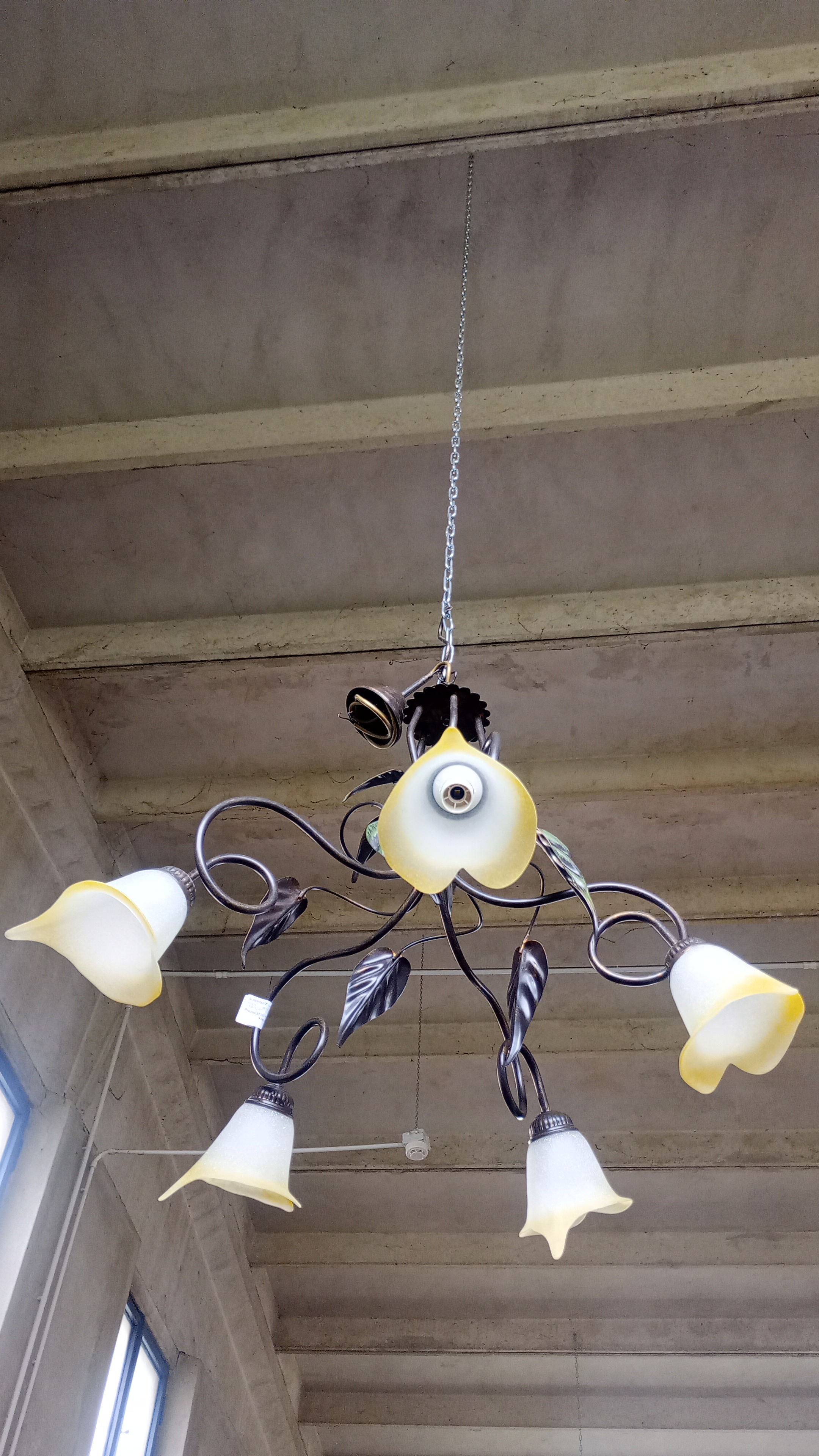 LAMPADARIO VETRI TULIPANO 5 LUCI