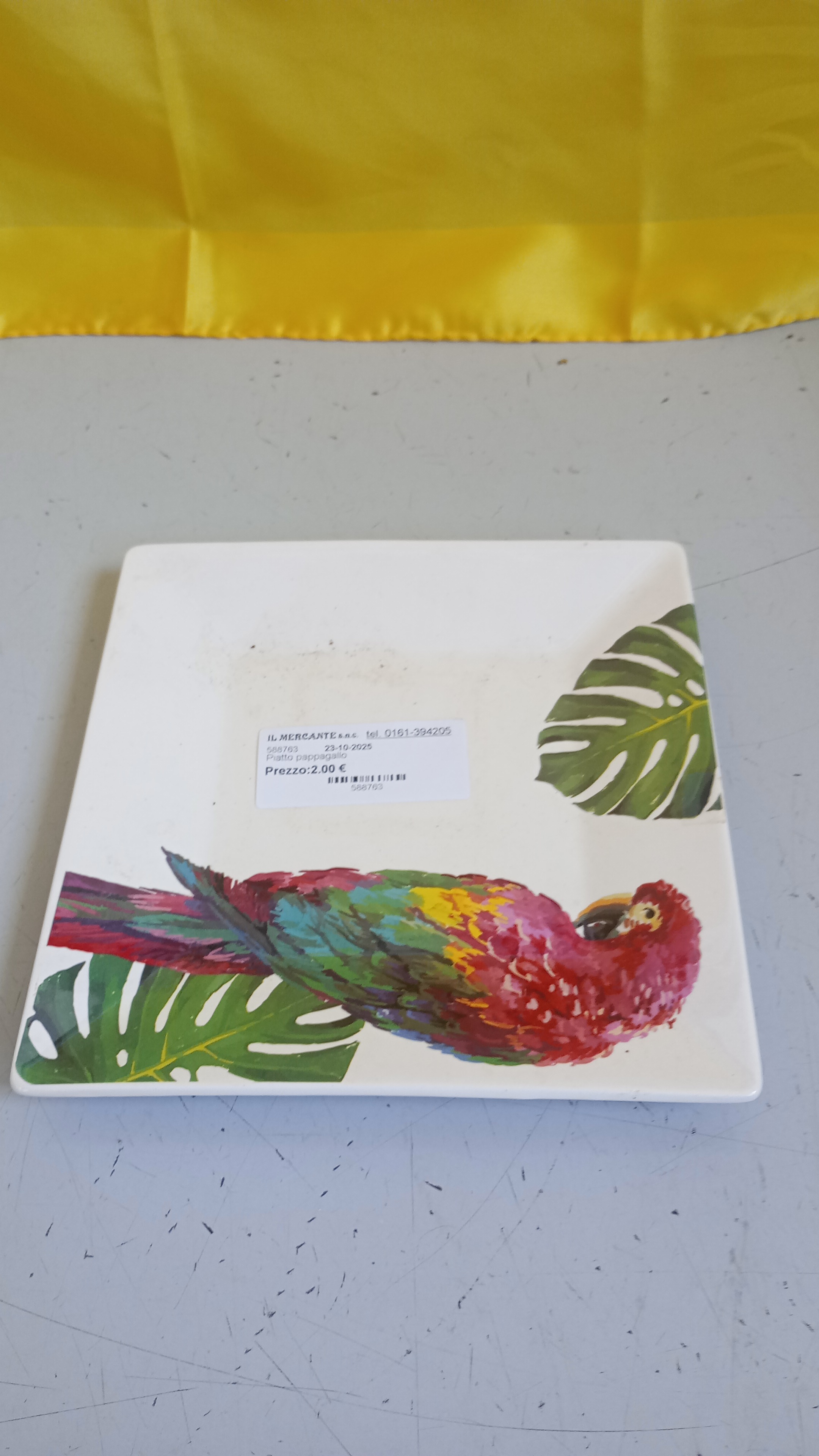  Piatto pappagallo 