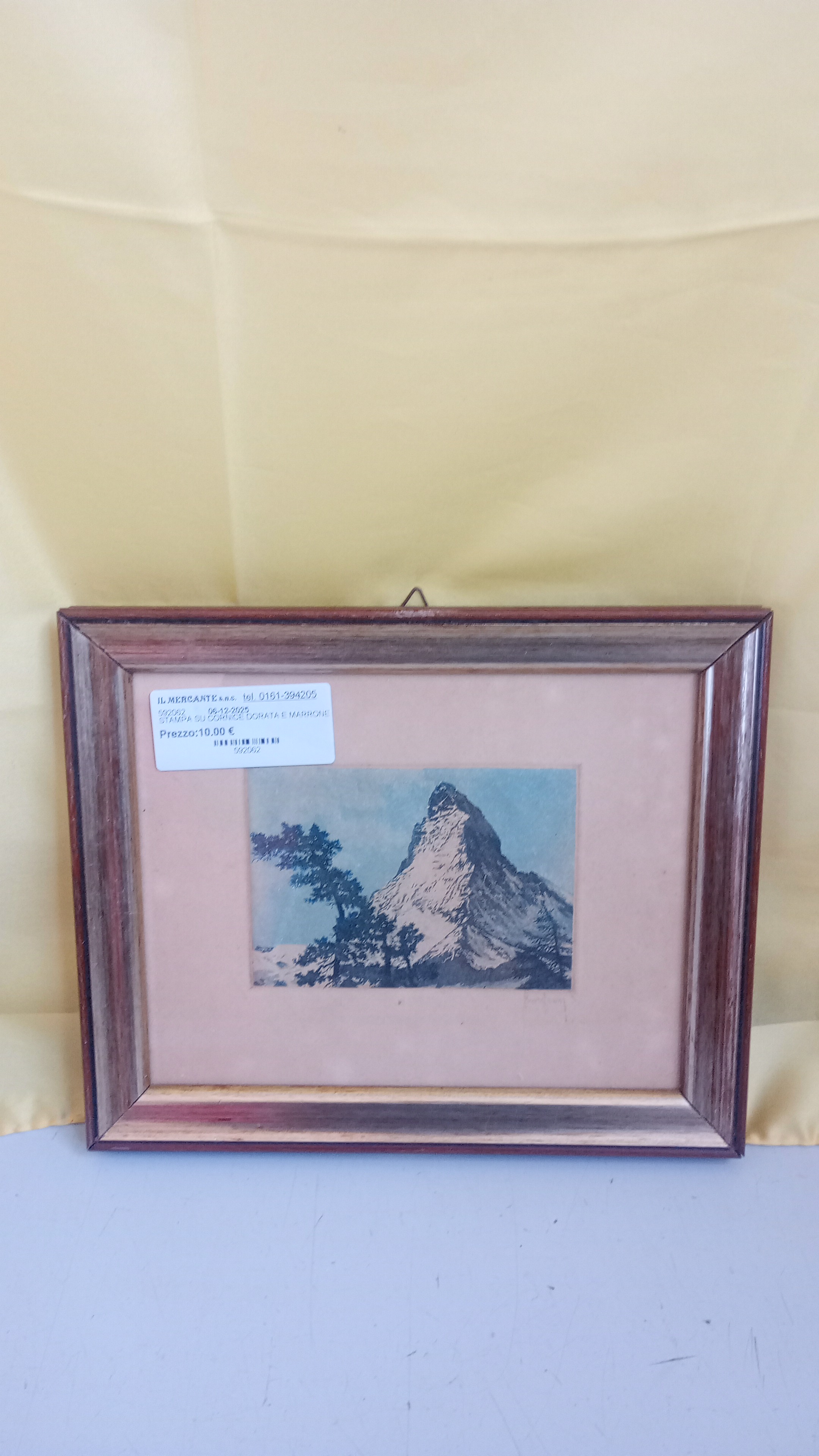 STAMPA SU CORNICE DORATA E MARRONE 