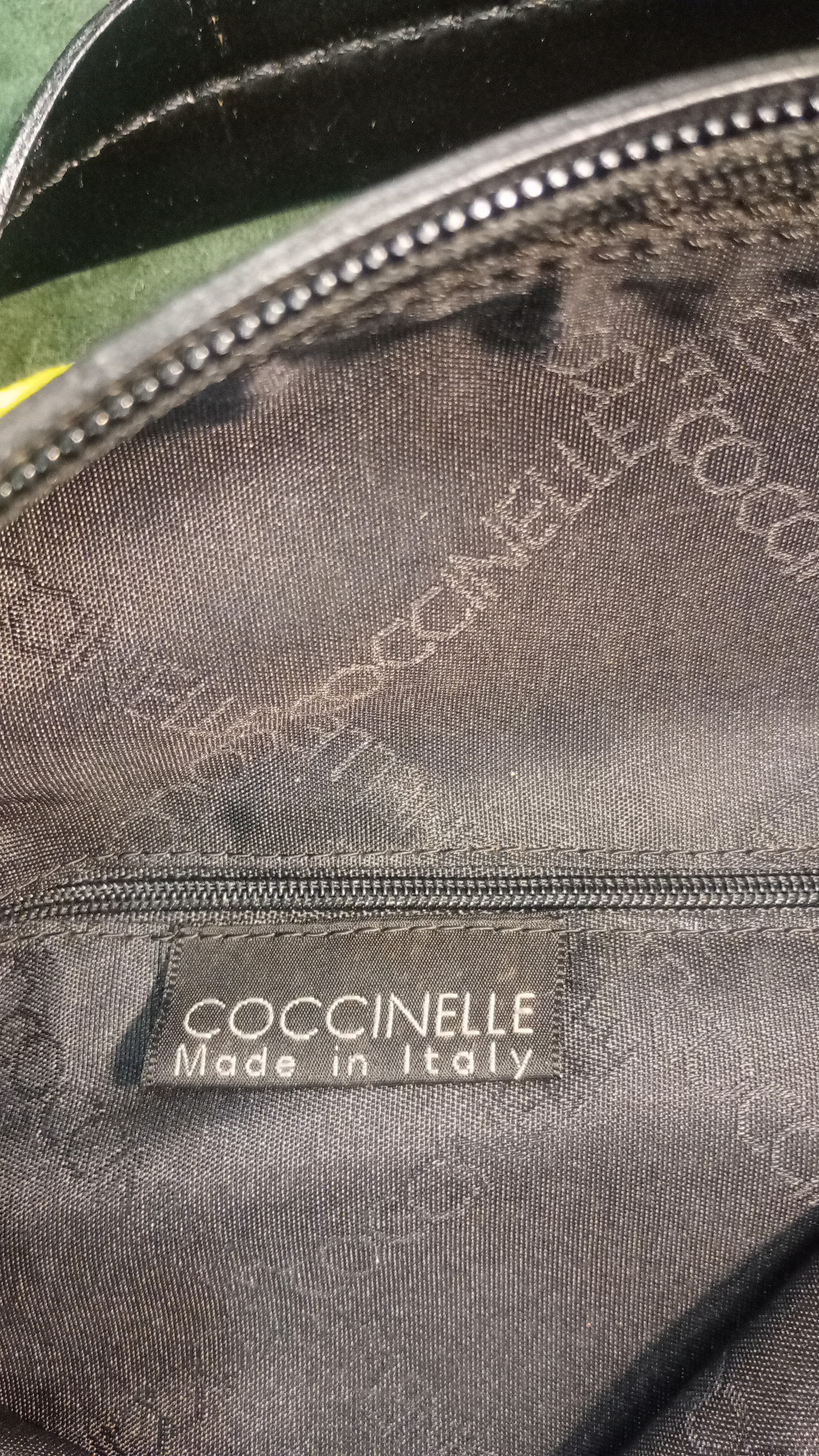 Immagine 2