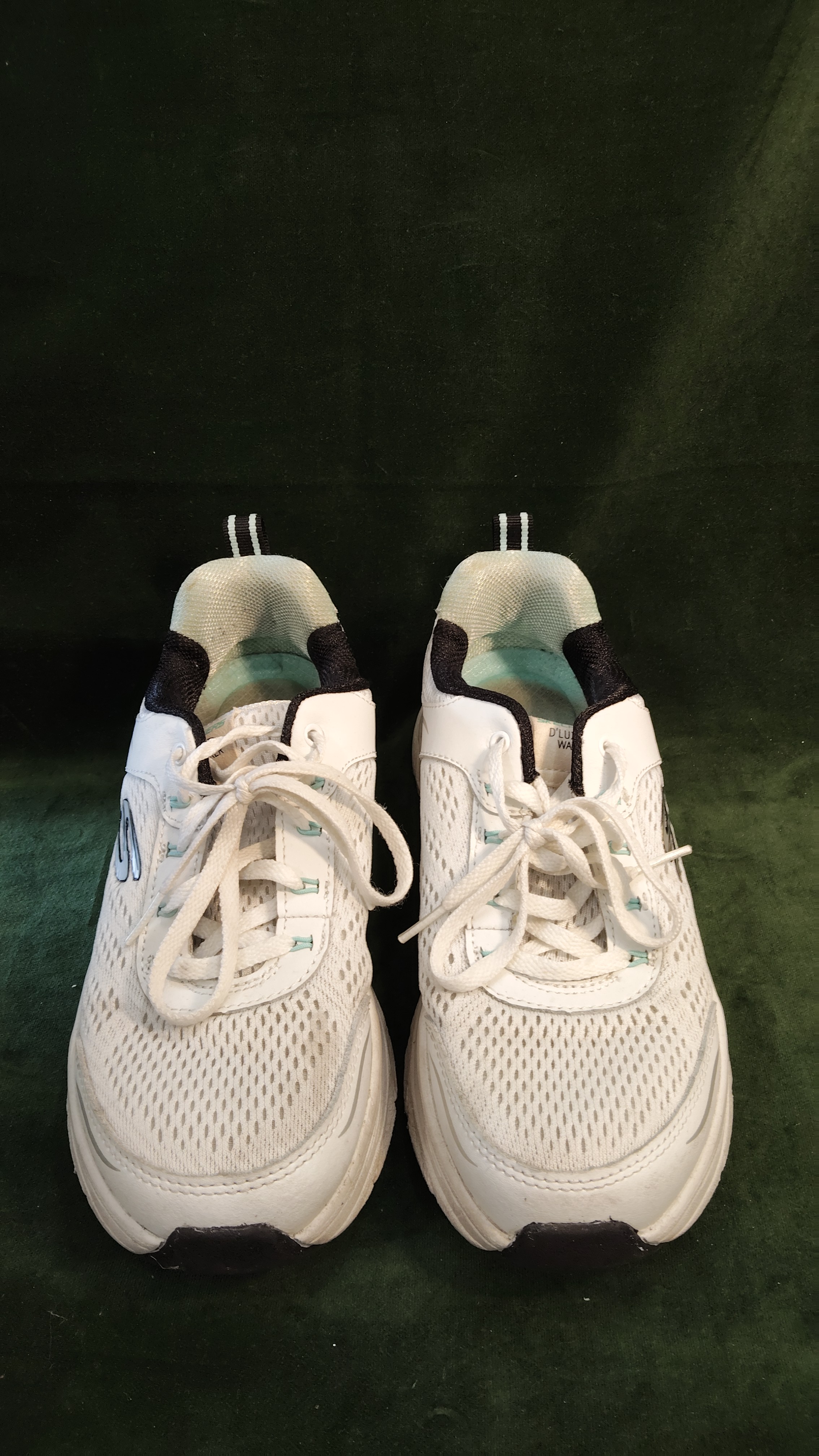 sc. SKECHERS n.38