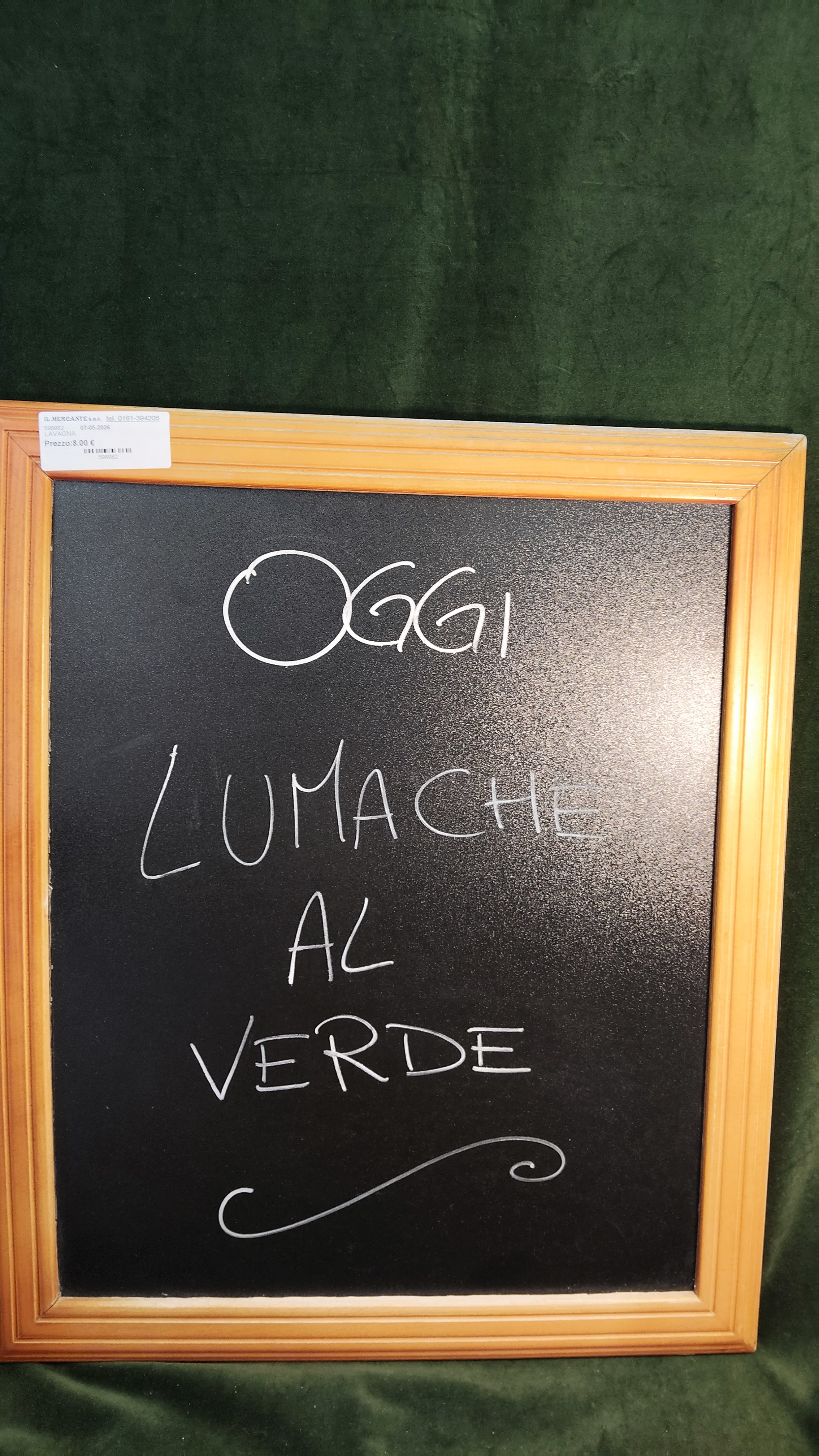 LAVAGNA