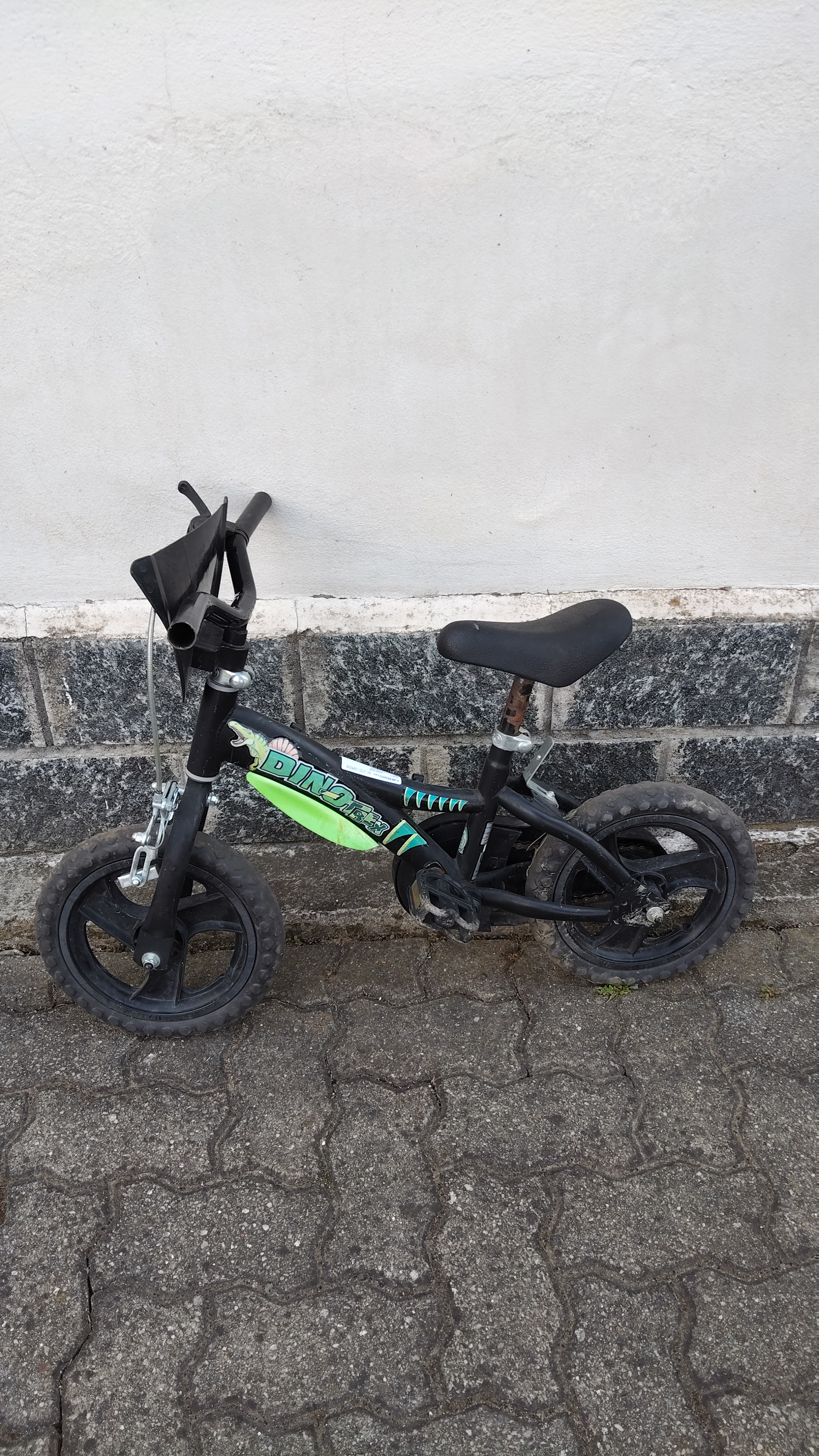 BICICLETTA VERDE