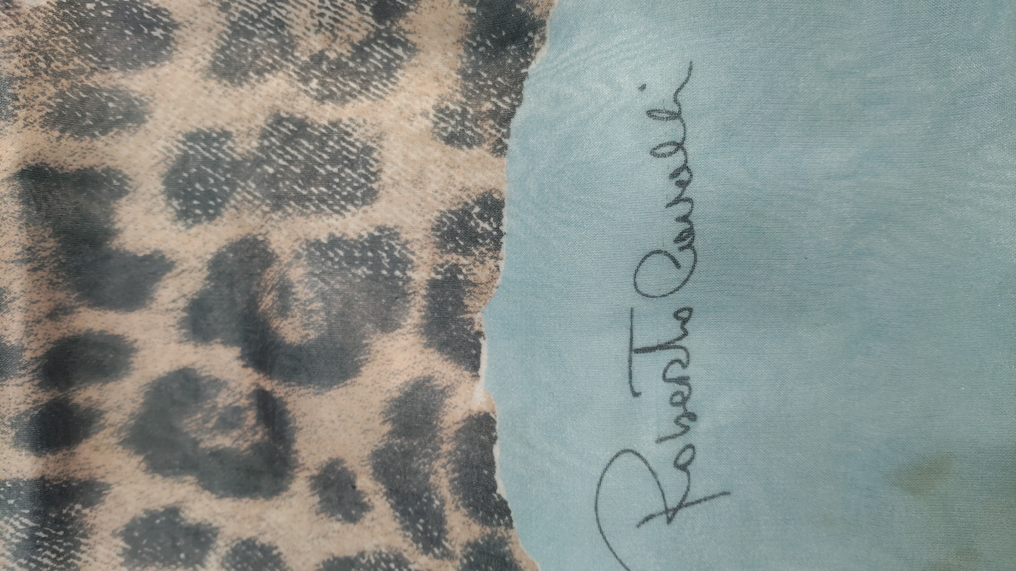 Immagine 3