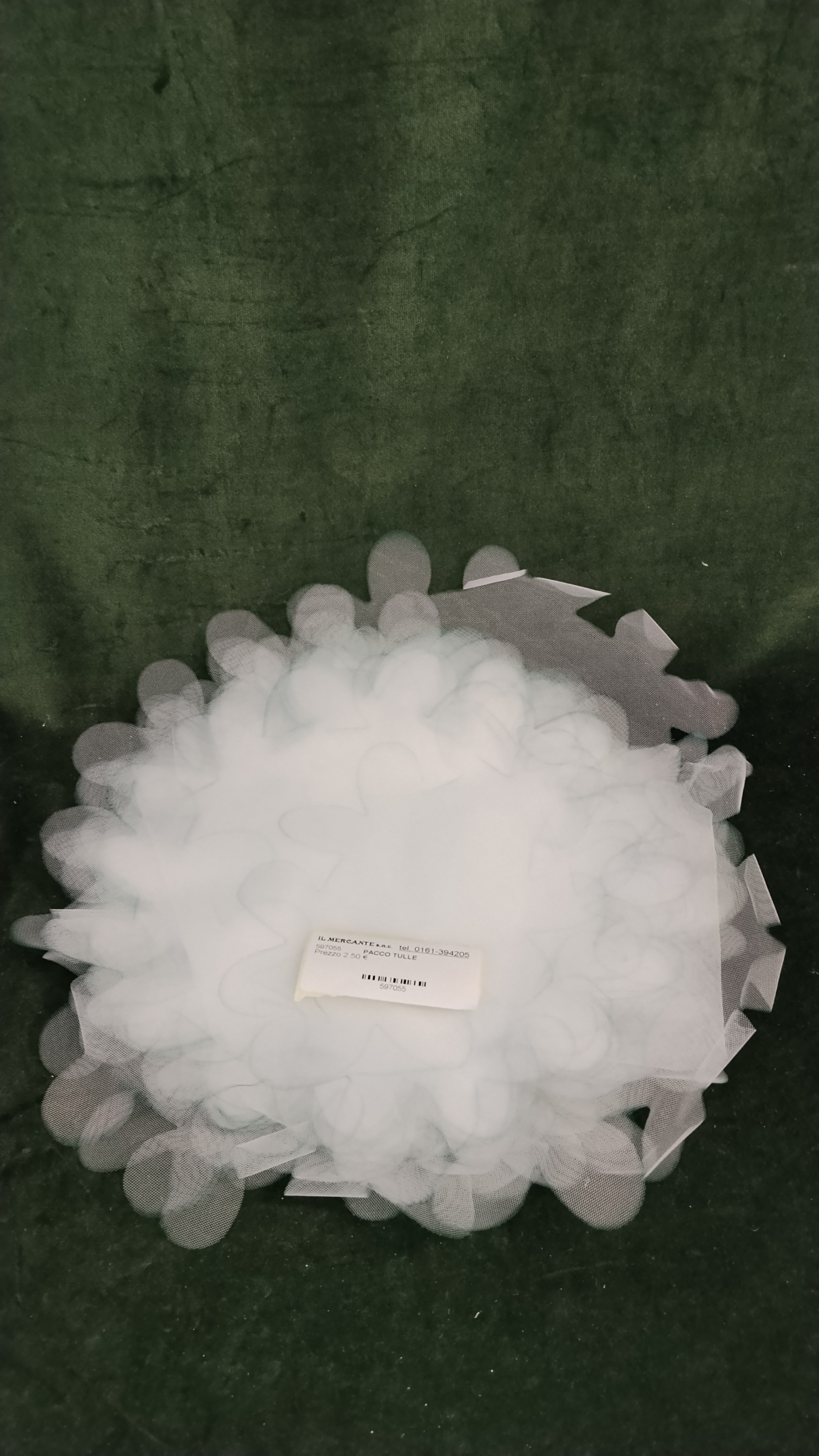 PACCO TULLE