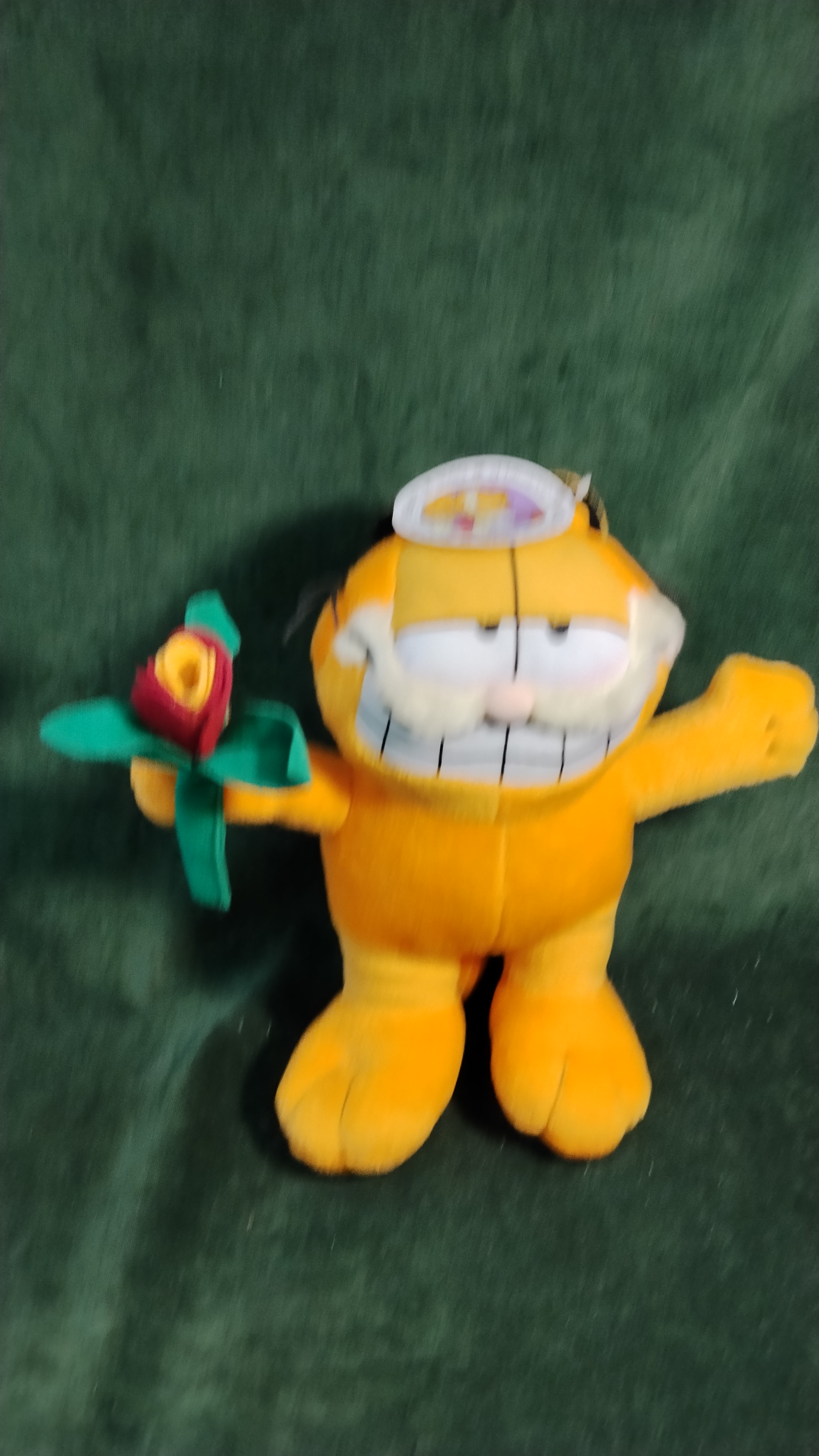 GARFIELD