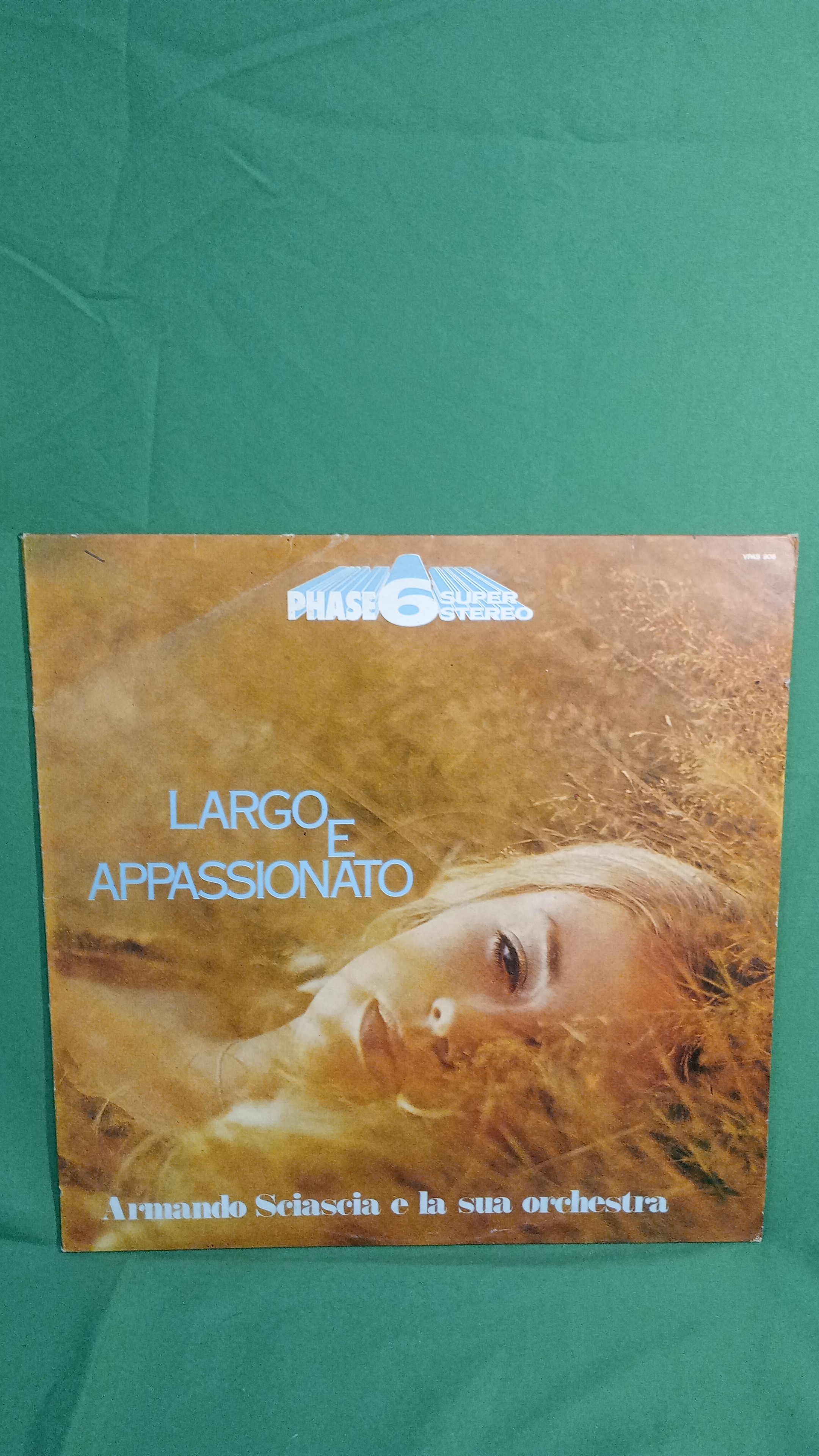 Lrgo e appassionato ARMANDO SCIASCIA