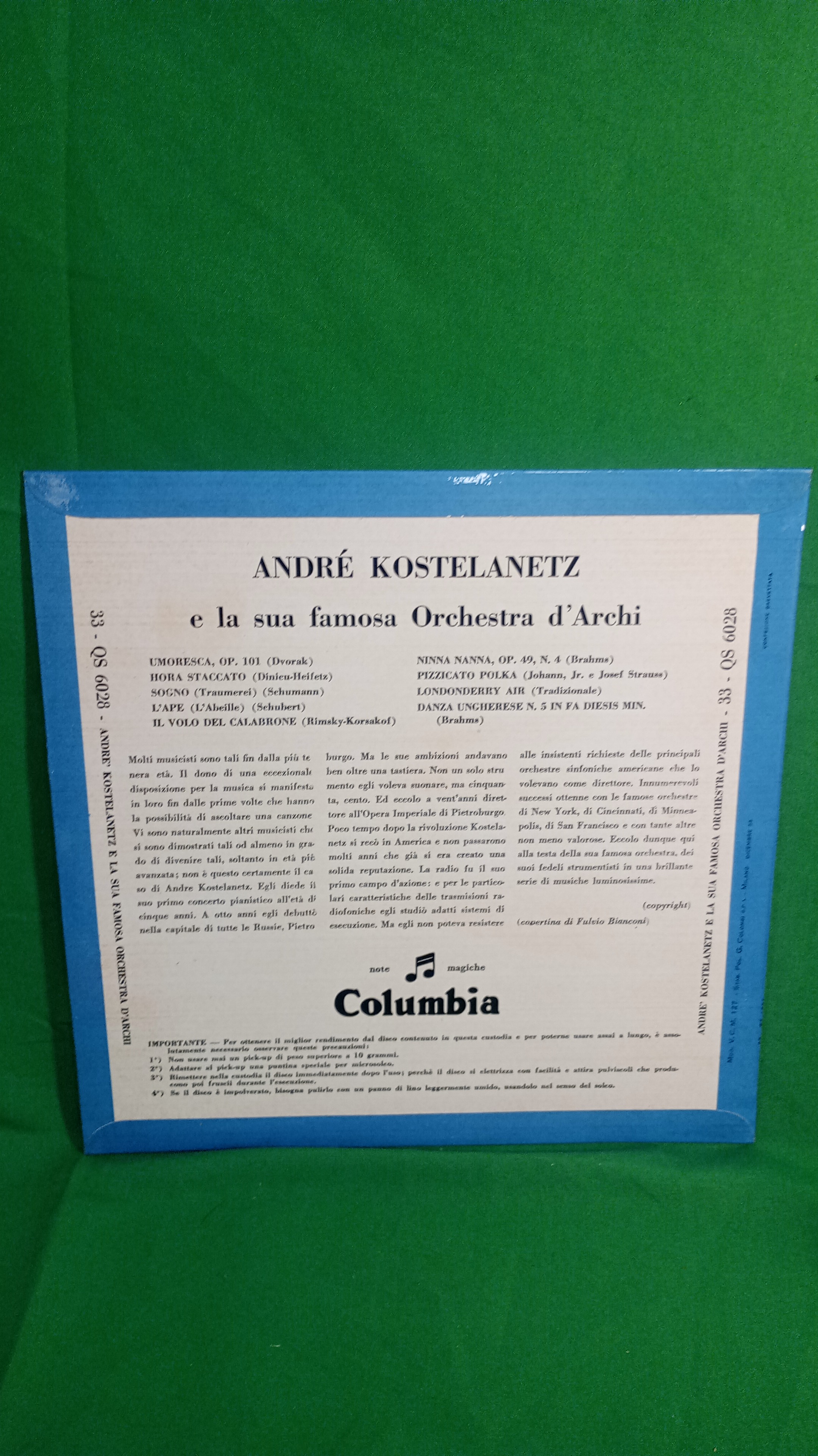 Immagine 2