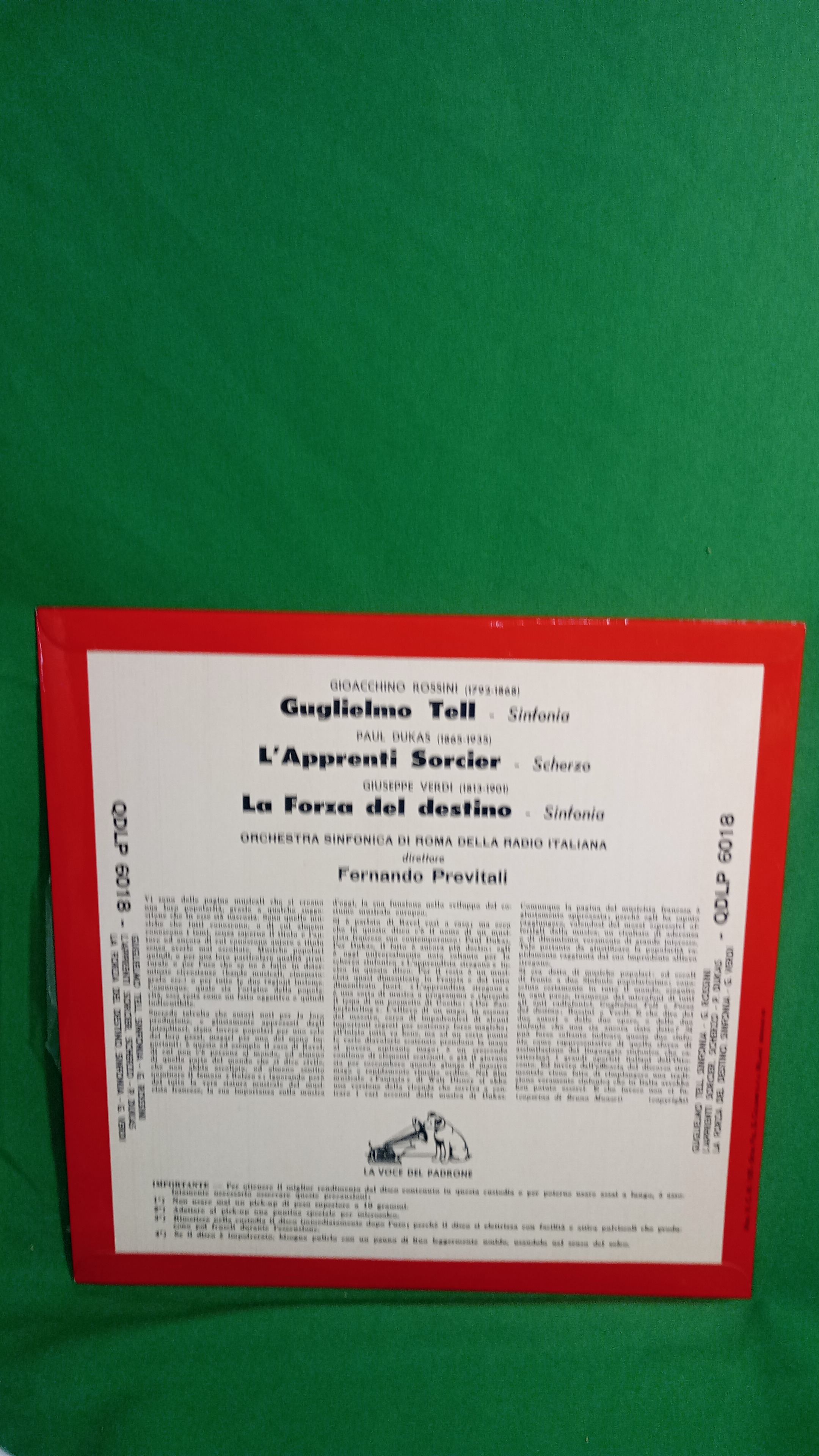 Immagine 2