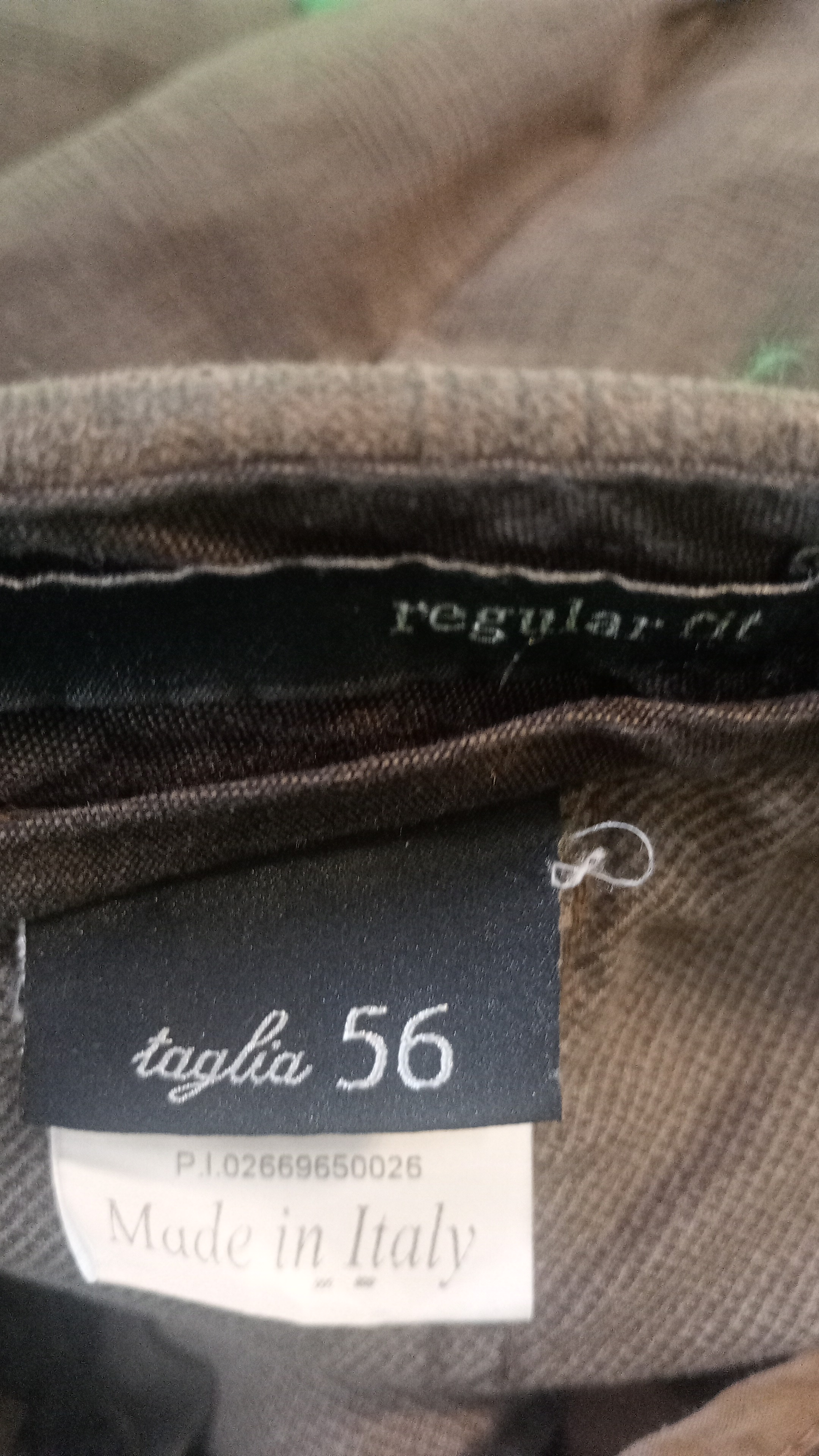Immagine 2