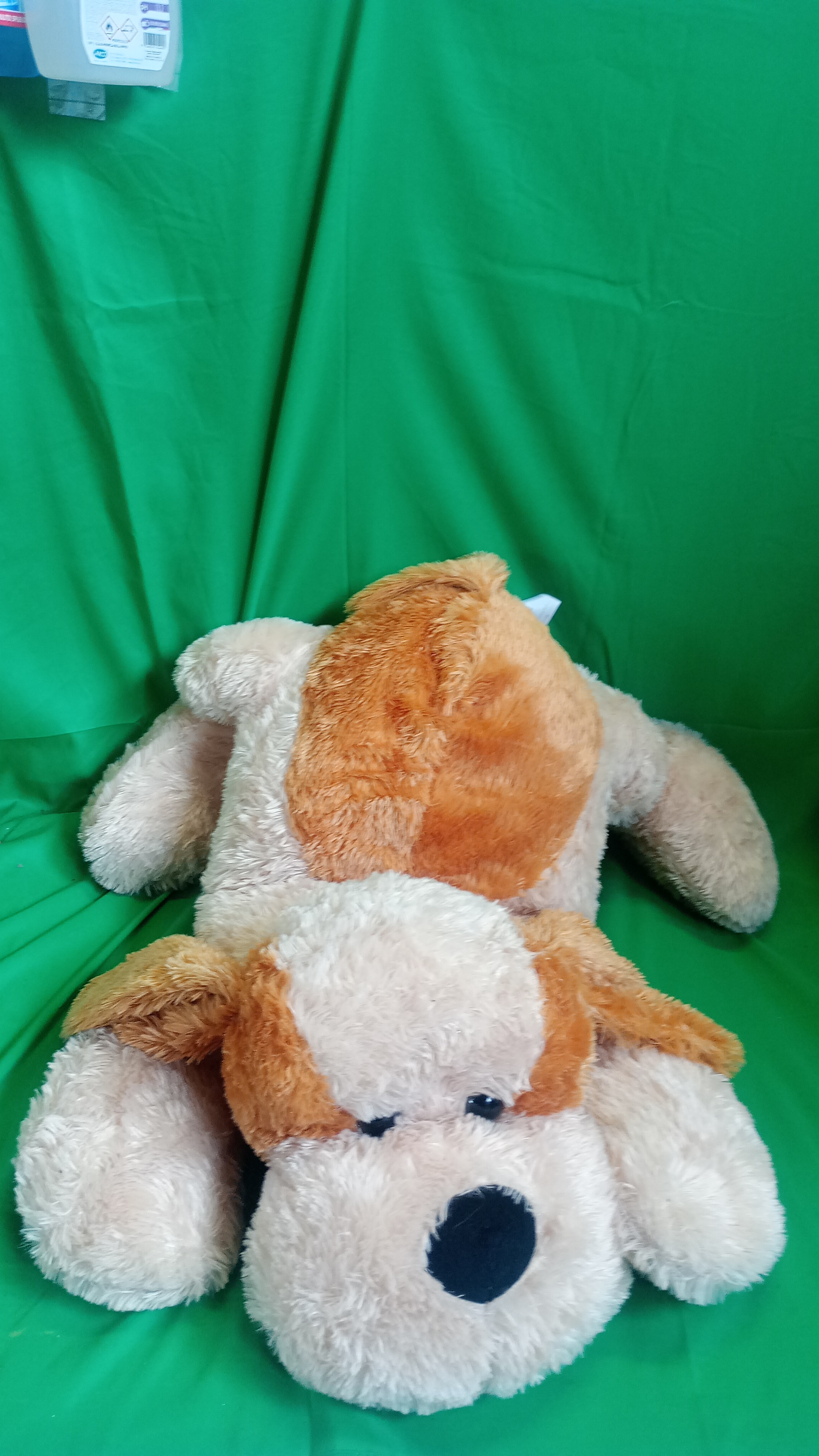 CANE PELUCHE
