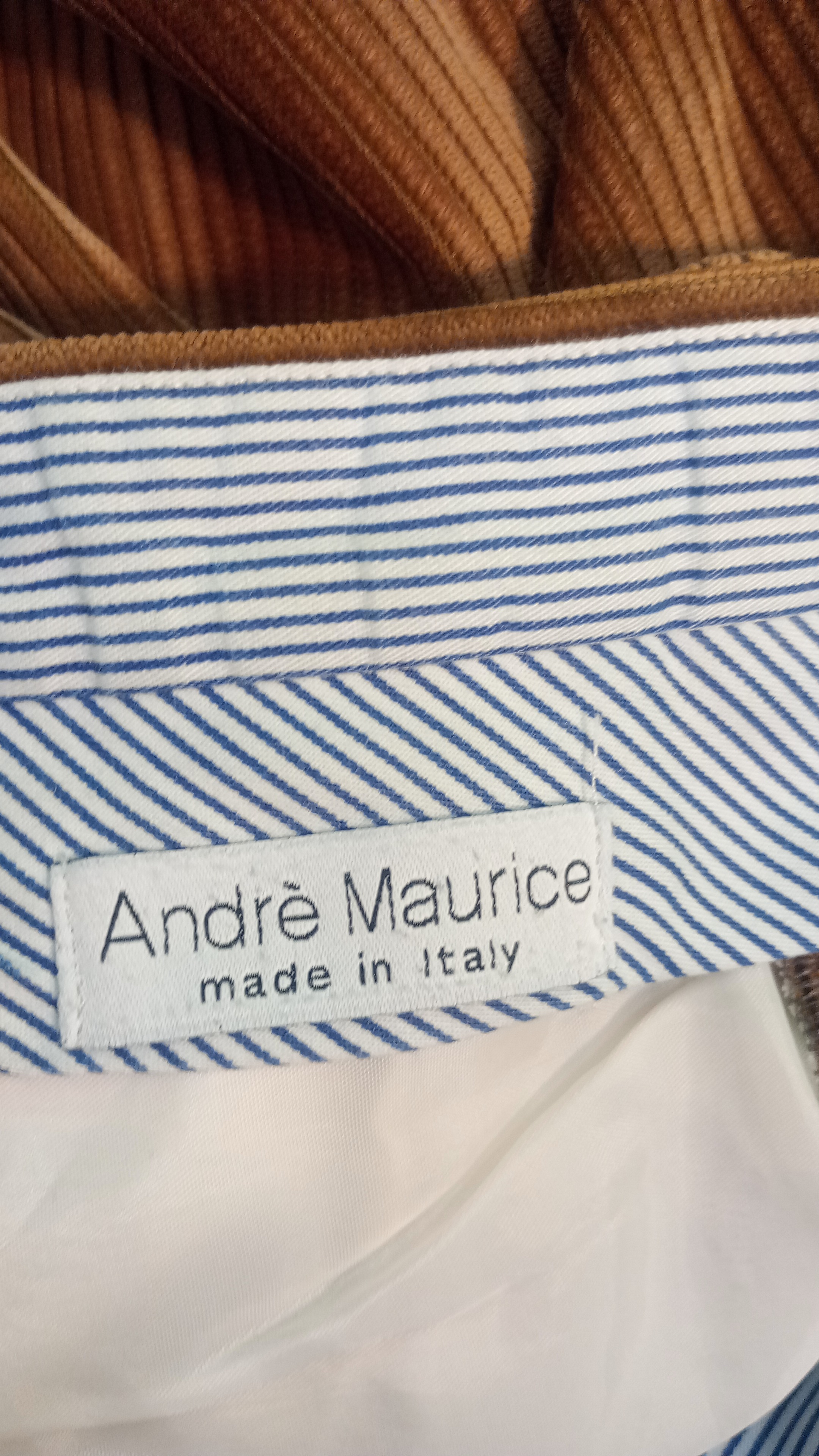 Immagine 2