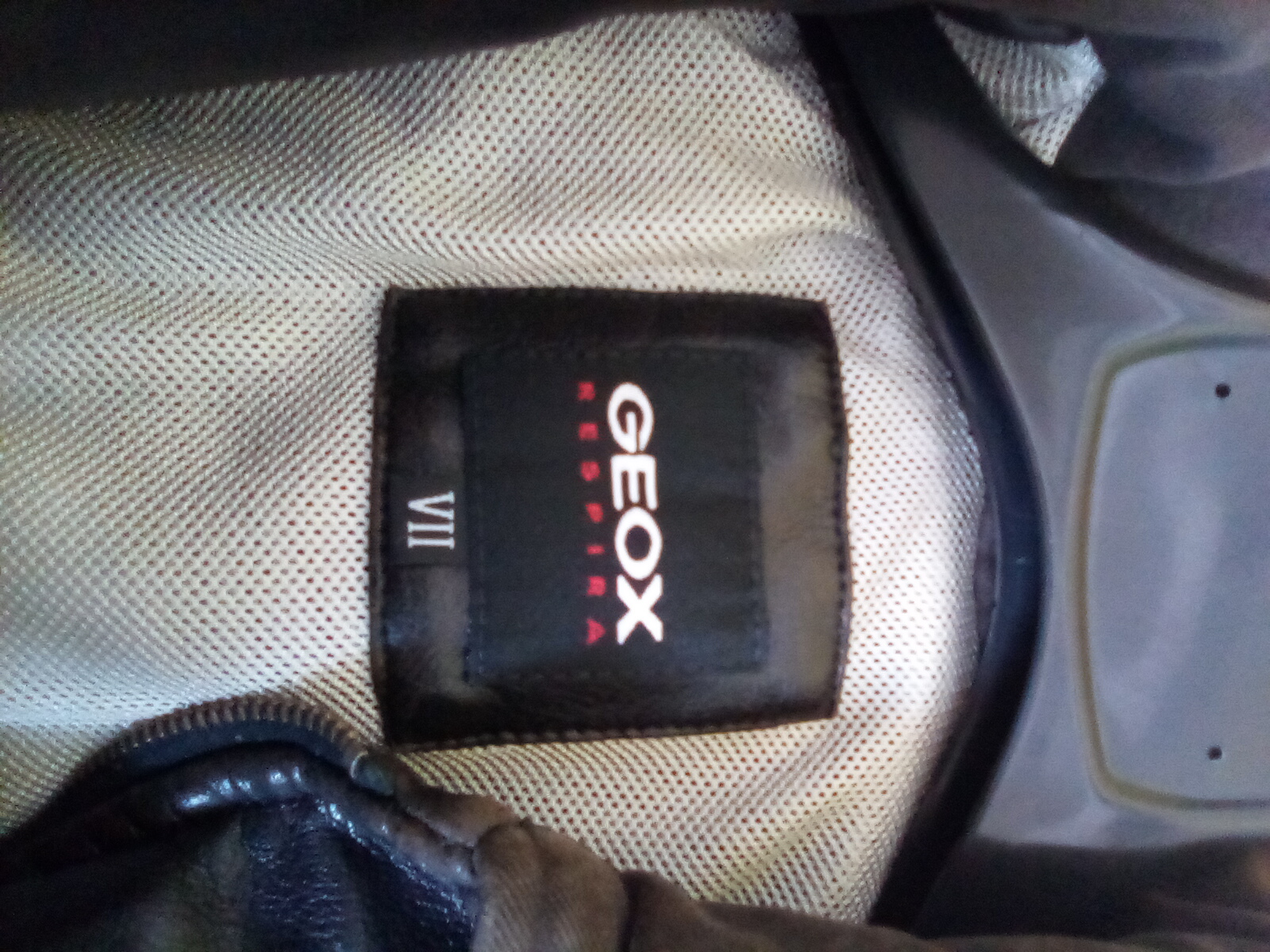 giacca GEOX bimbo