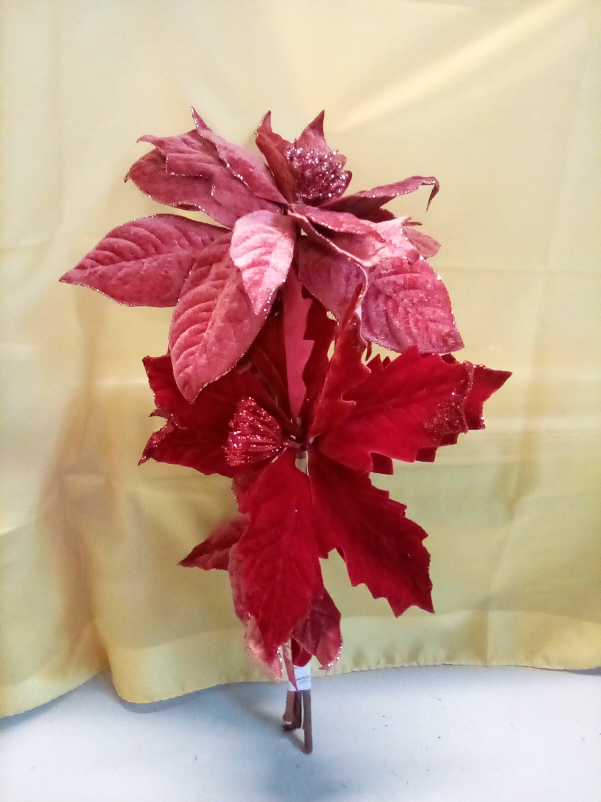 mazzo stelle di Natale