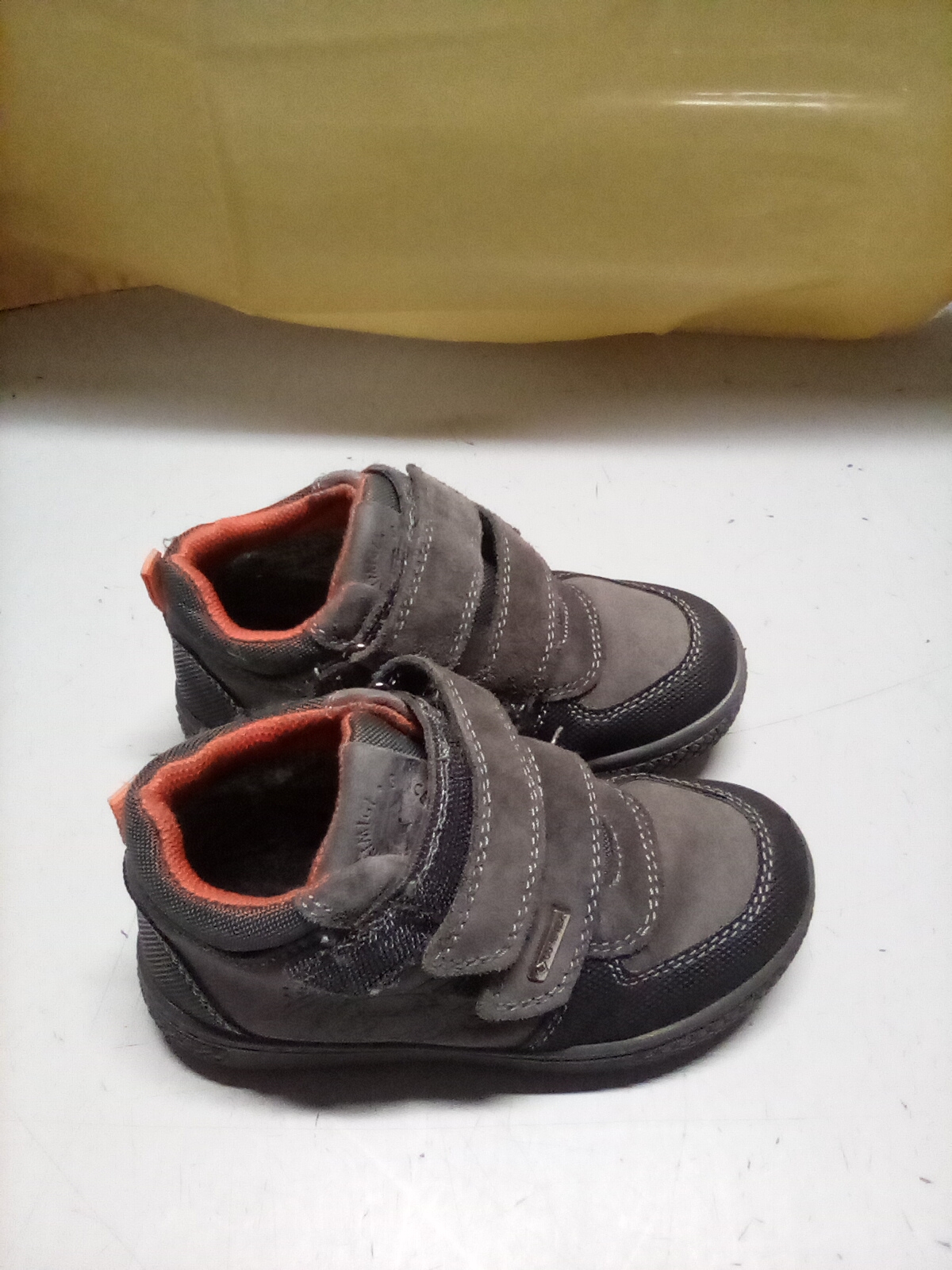 sc. grigie PRIMIGI n.27