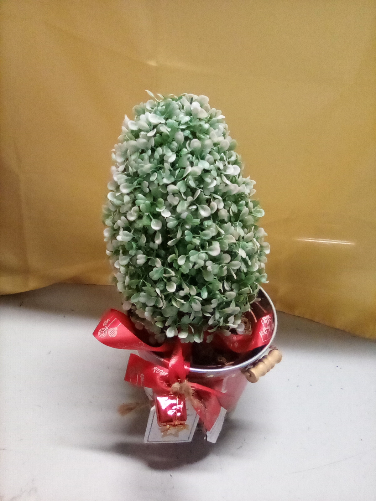 ALBERELLO CON SOTTOVASO