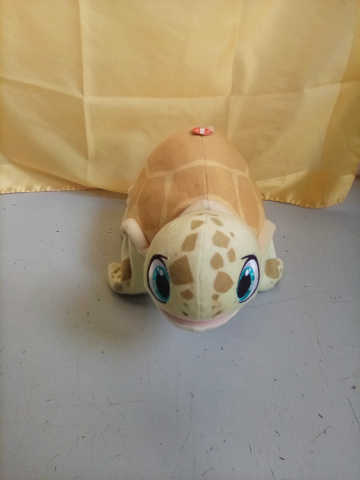 TARTARUGA CHE CAMMINA