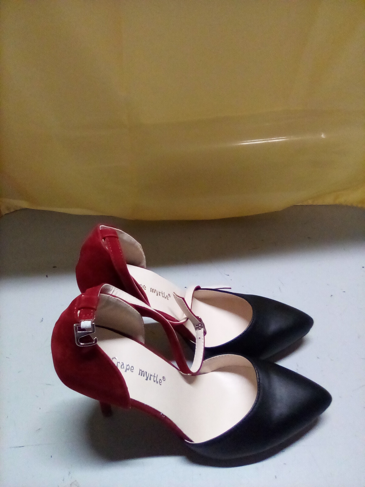 sc. CARPE MYRTEE n.38