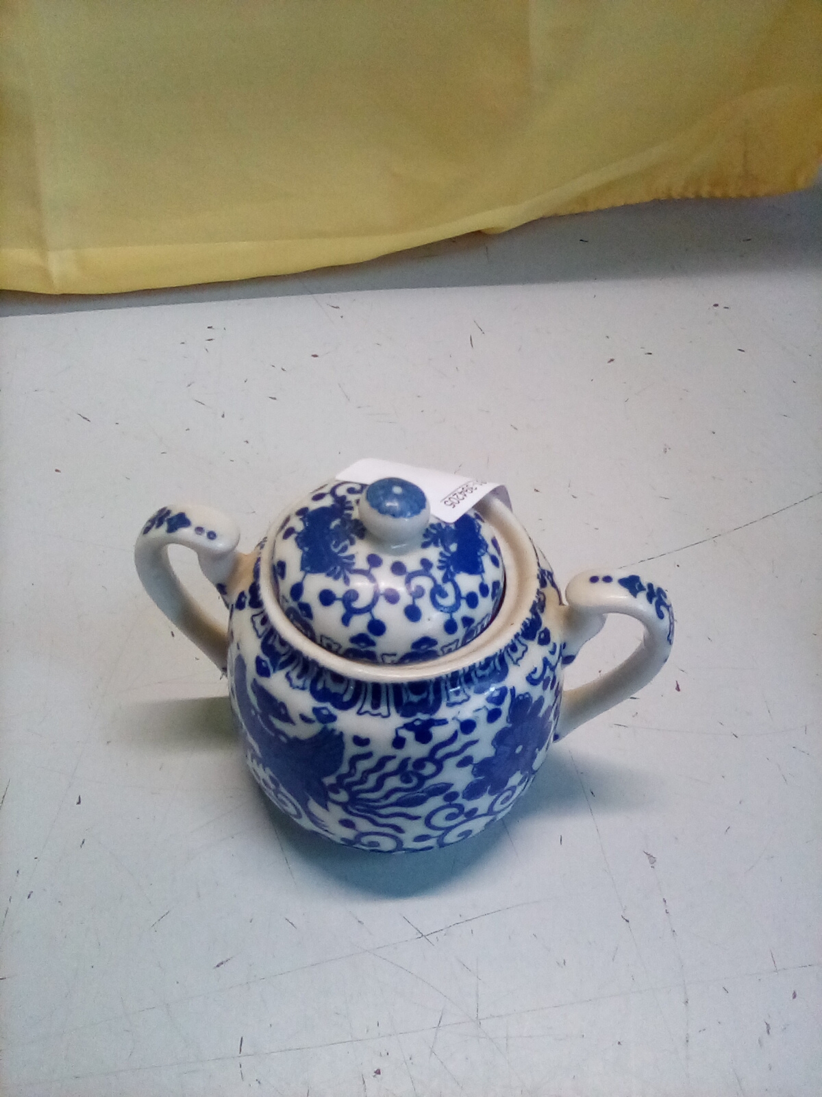  Zuccheriera Giapponese 