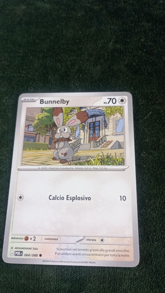 CARTA POKEMON