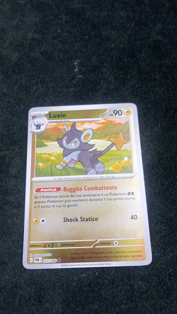 CARTA POKEMON