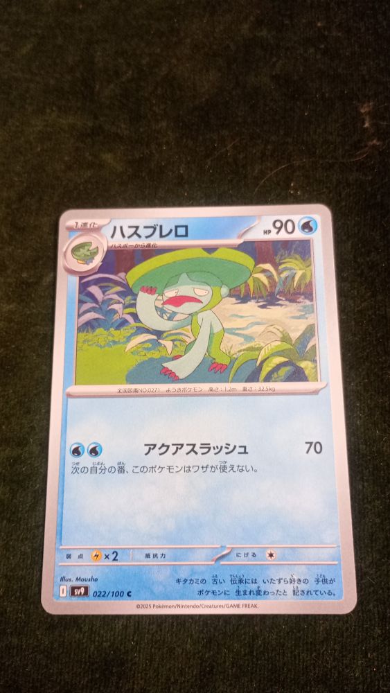 CARTA POKEMON