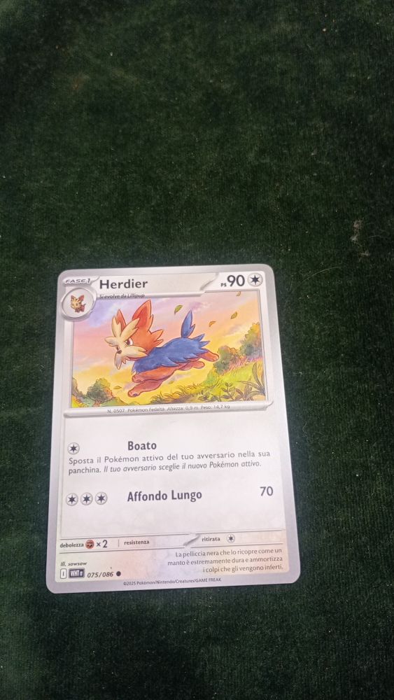 CARTA POKEMON