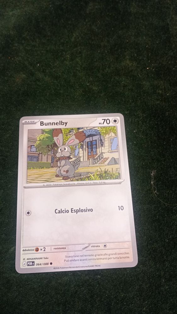 CARTA POKEMON
