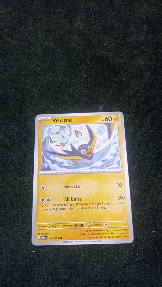 CARTA POKEMON