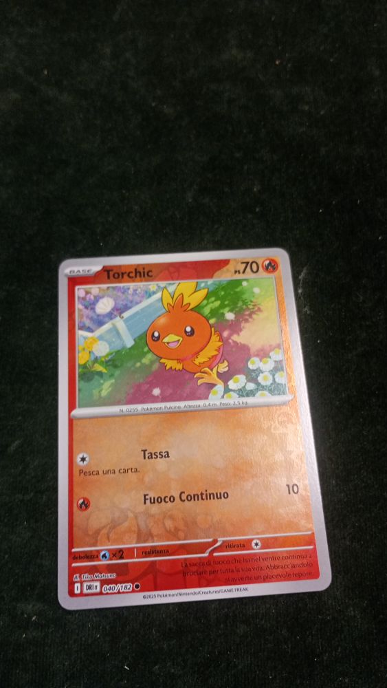 CARTA POKEMON