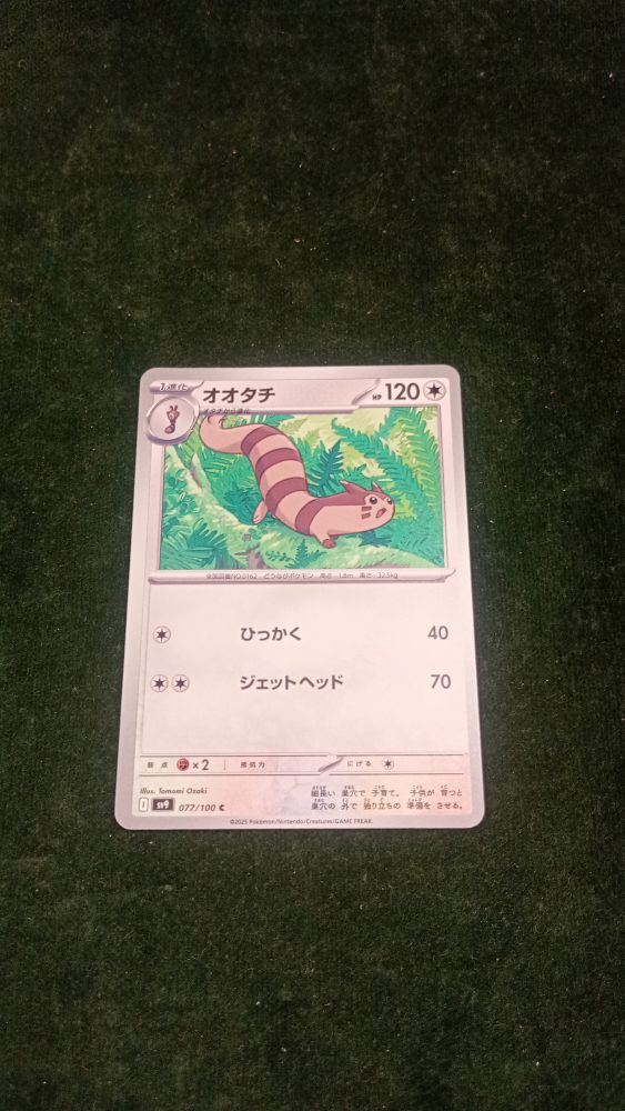 CARTA POKEMON